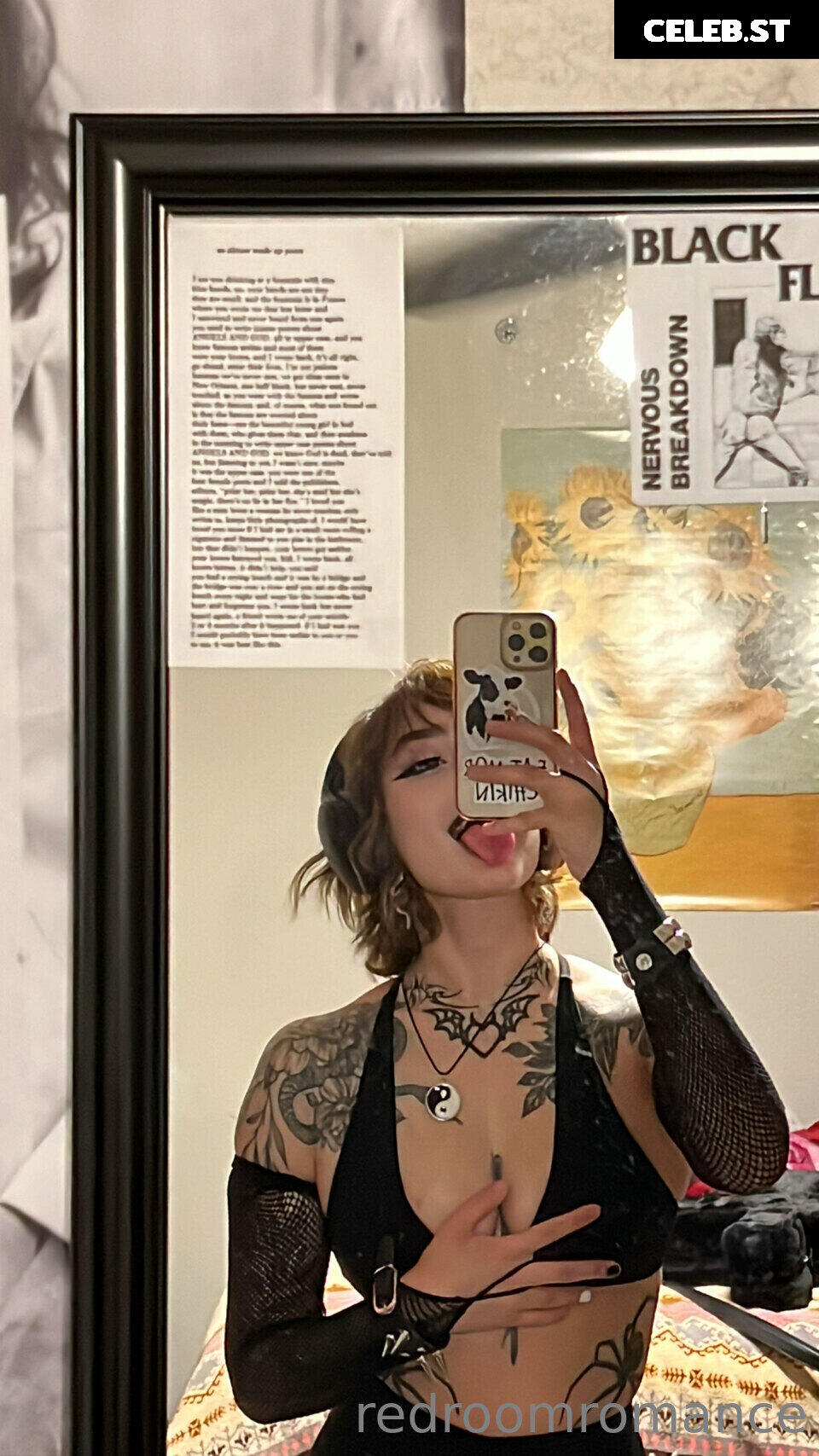 Redroomromance / Pinkroomromance / Rozr Image 11937249