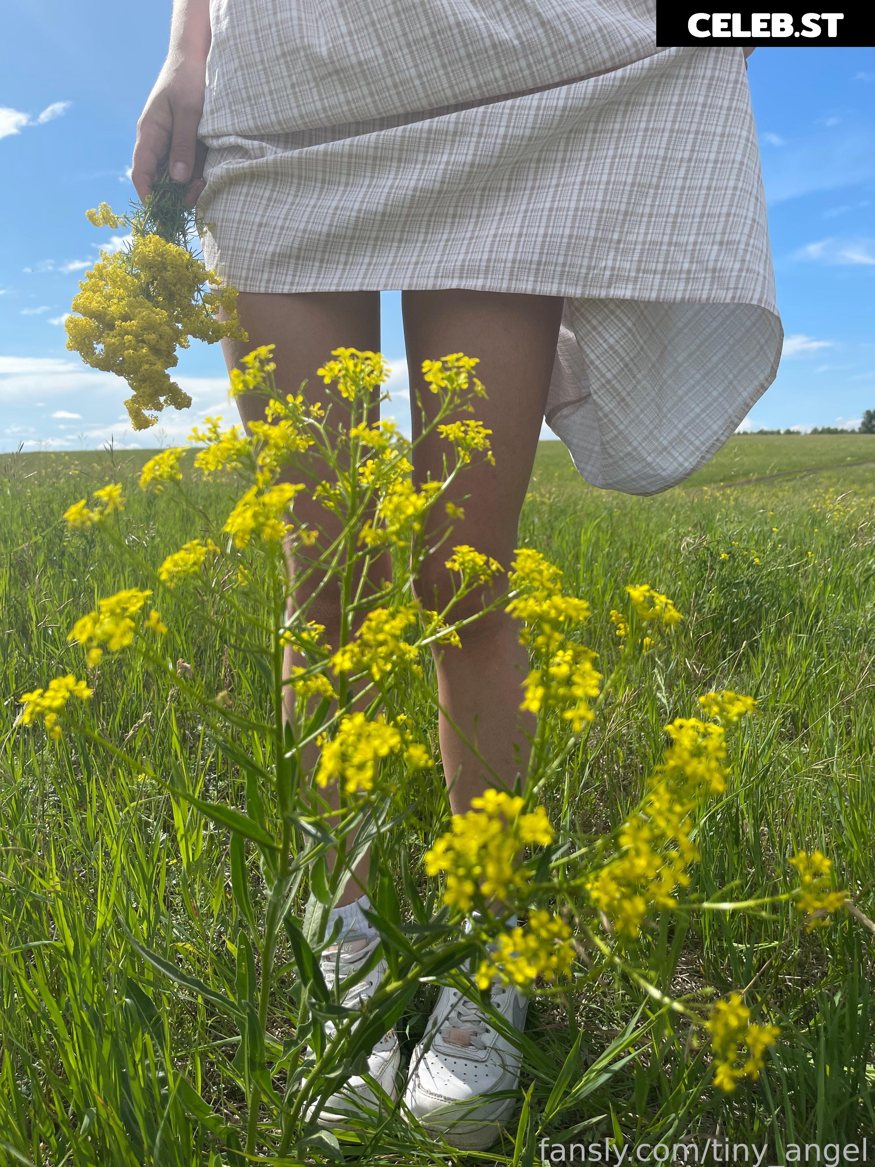 Tinyangelx | Me_Emily | tiny_angel | _rileyreid_ Image 11995536