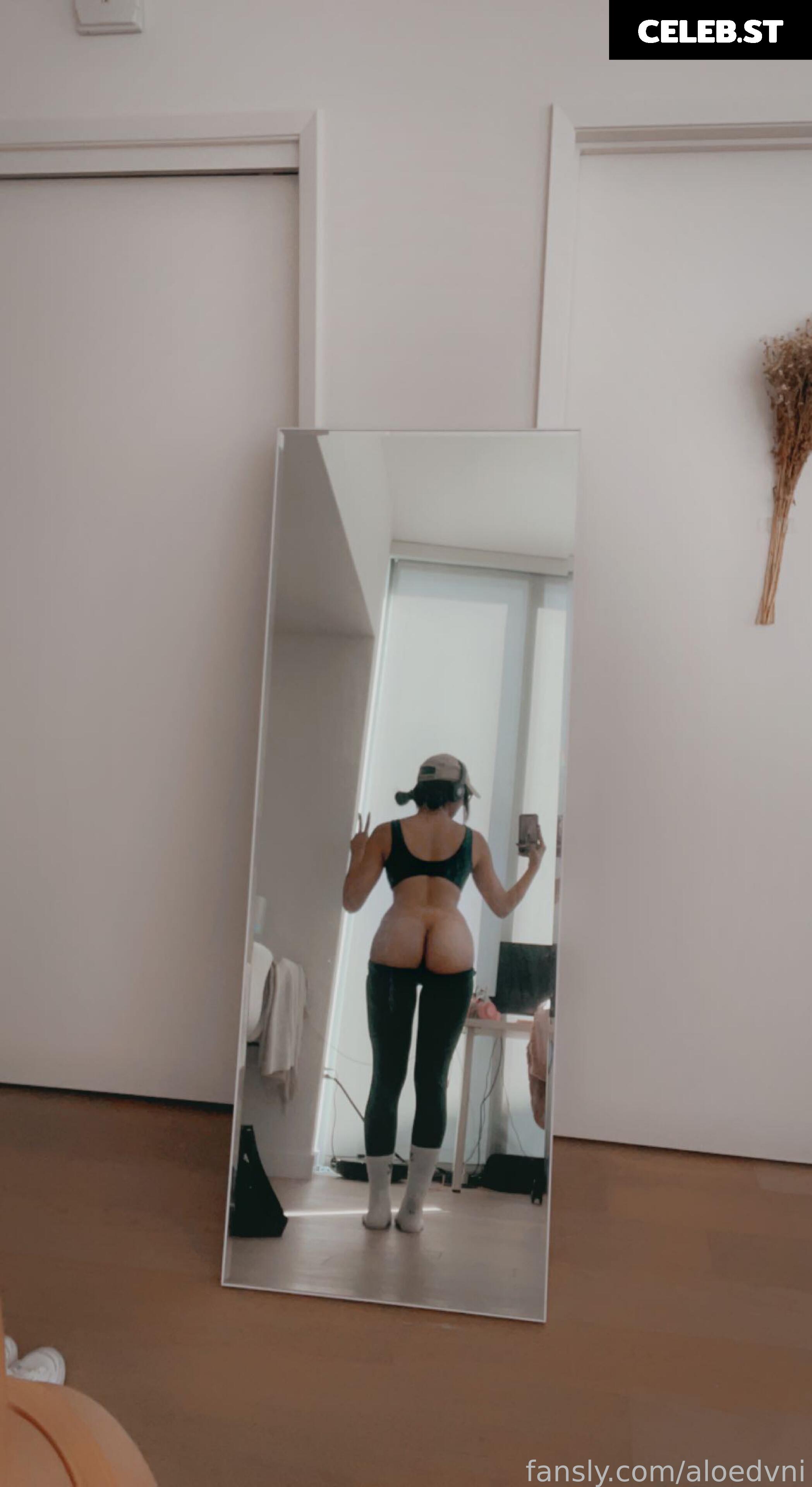 Plushydani/plushs/aloedvni Image 11993890