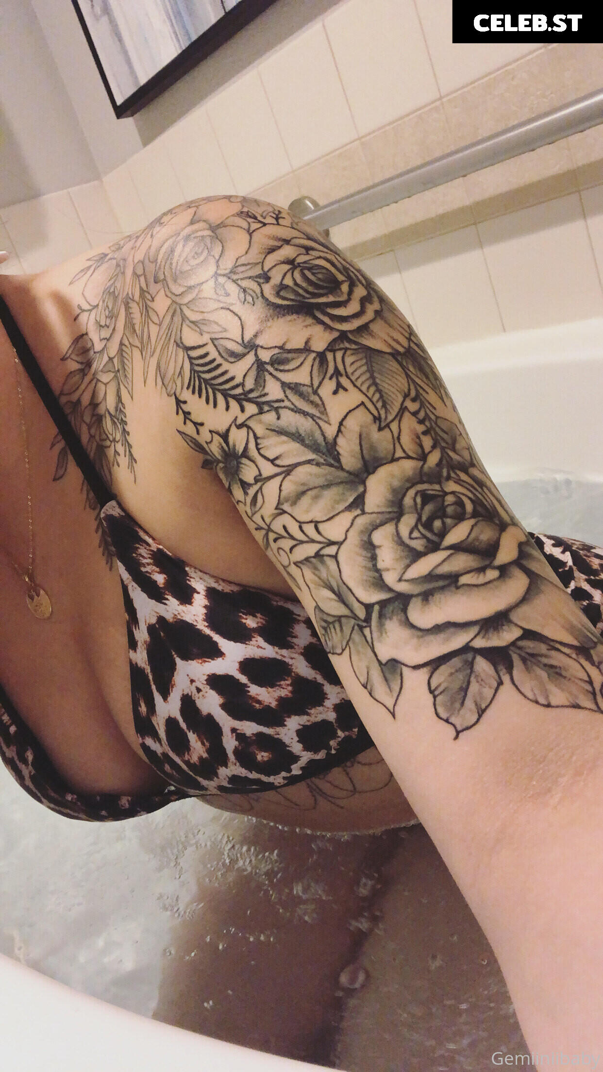 itslisetterenee_/gemiinii_mami Image 11999436