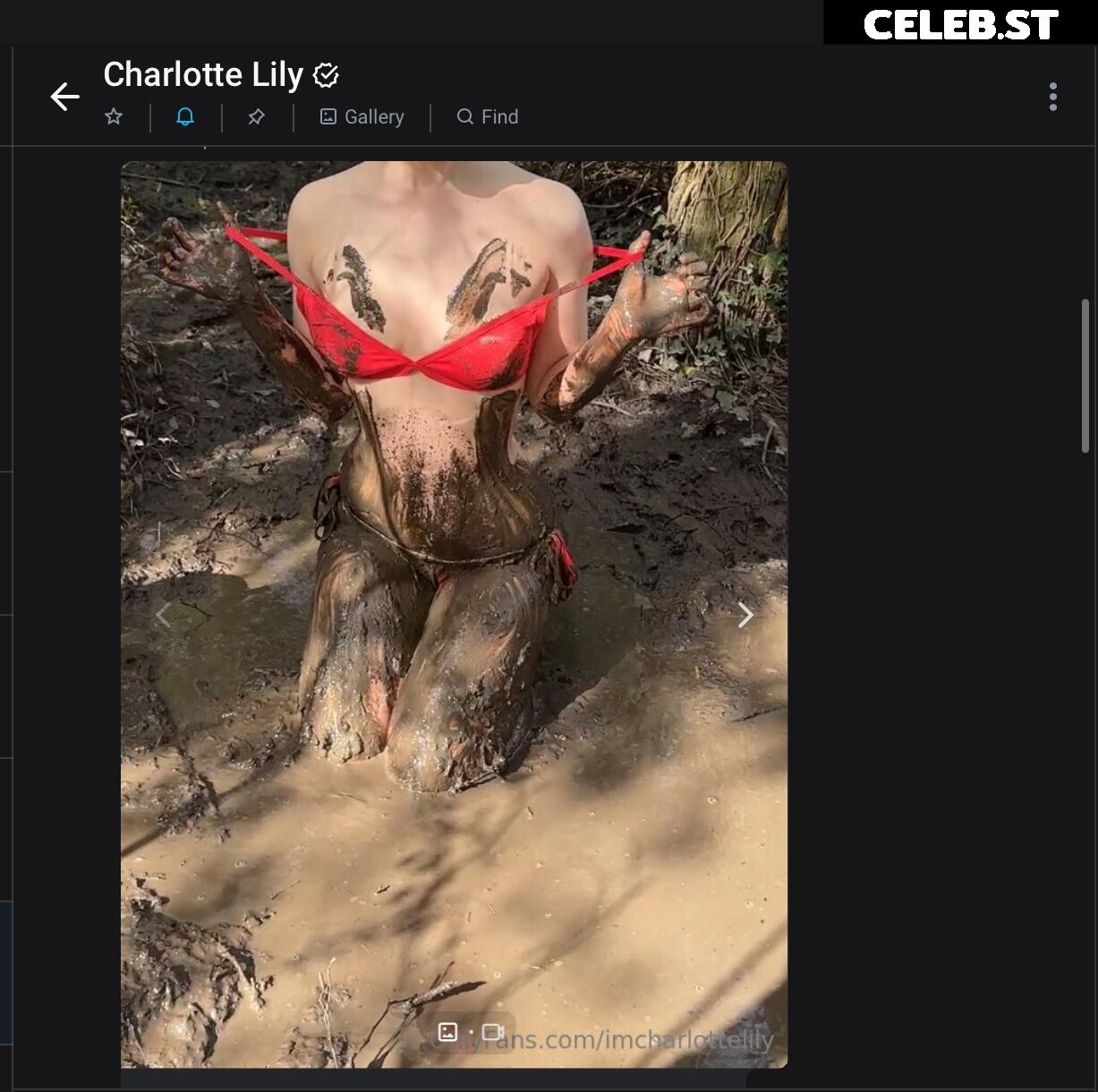 Charlotte Lily Image 11999389