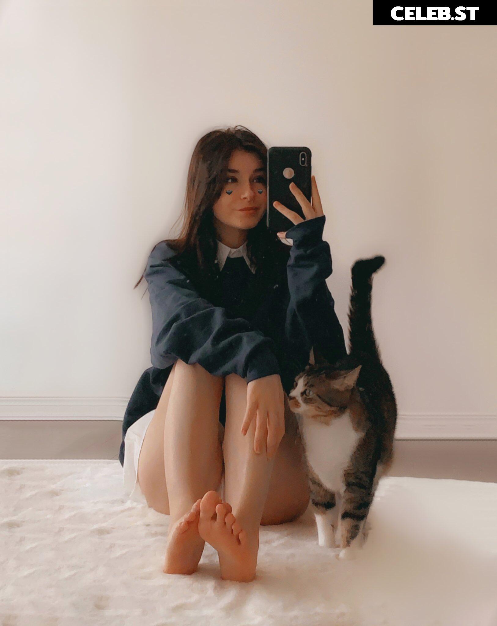 Zasterini | Zastela Image 11873745