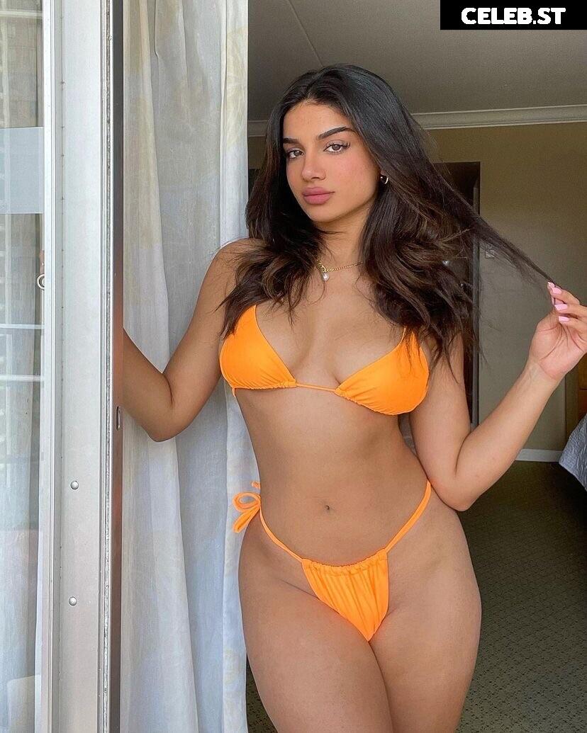 Alishbasheikh Image 11872507