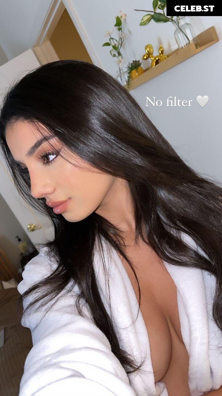 Alishbasheikh Image 11872537