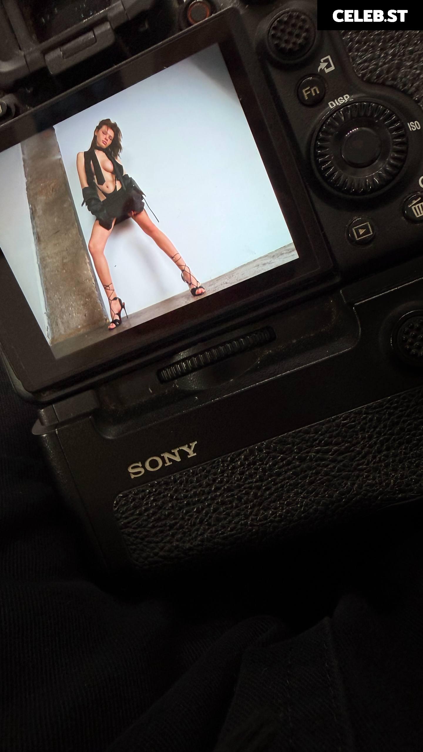 kari Pitinova / tikivulpes / Vulpes Image 11821516