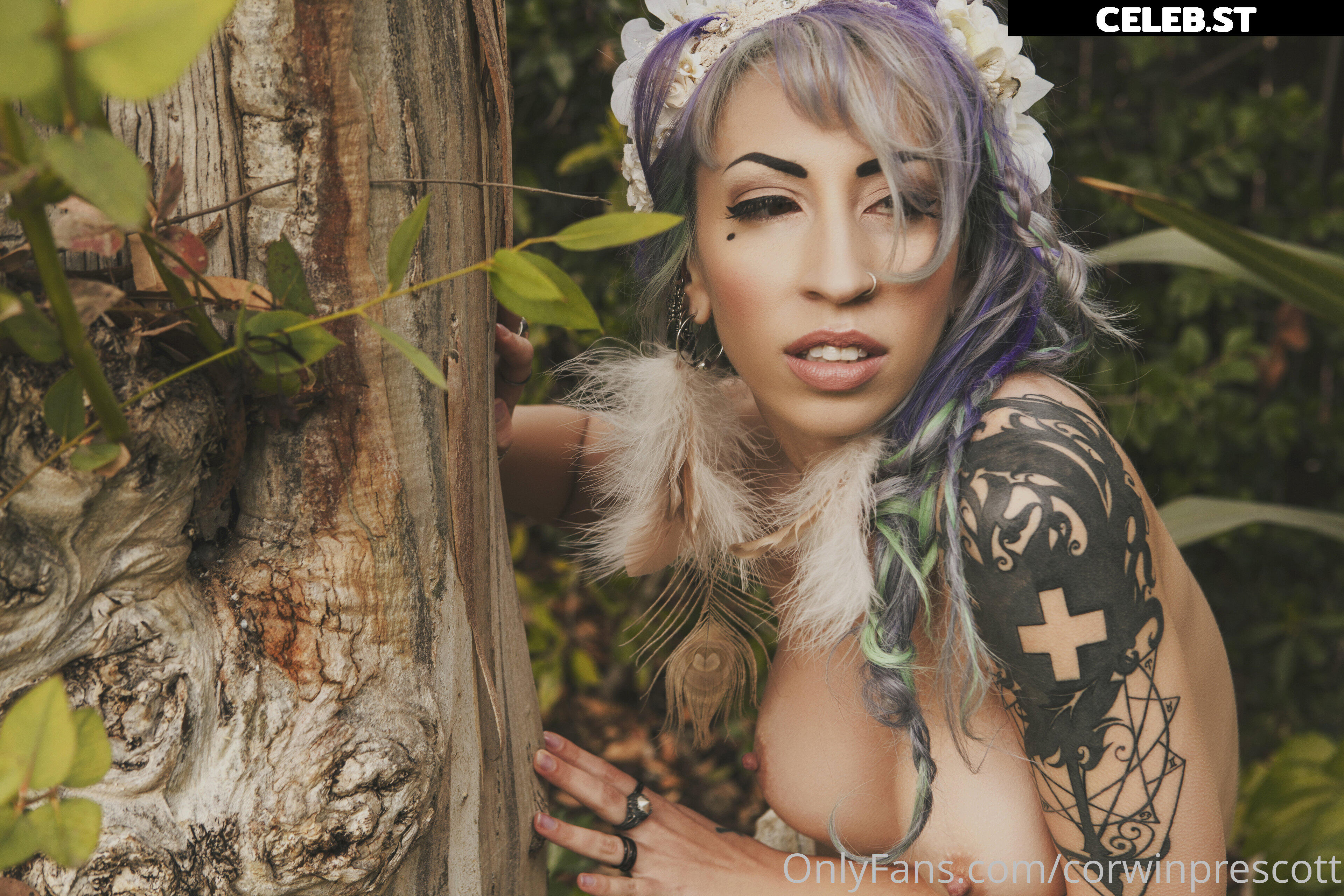 Vivid Vivka Image 118047