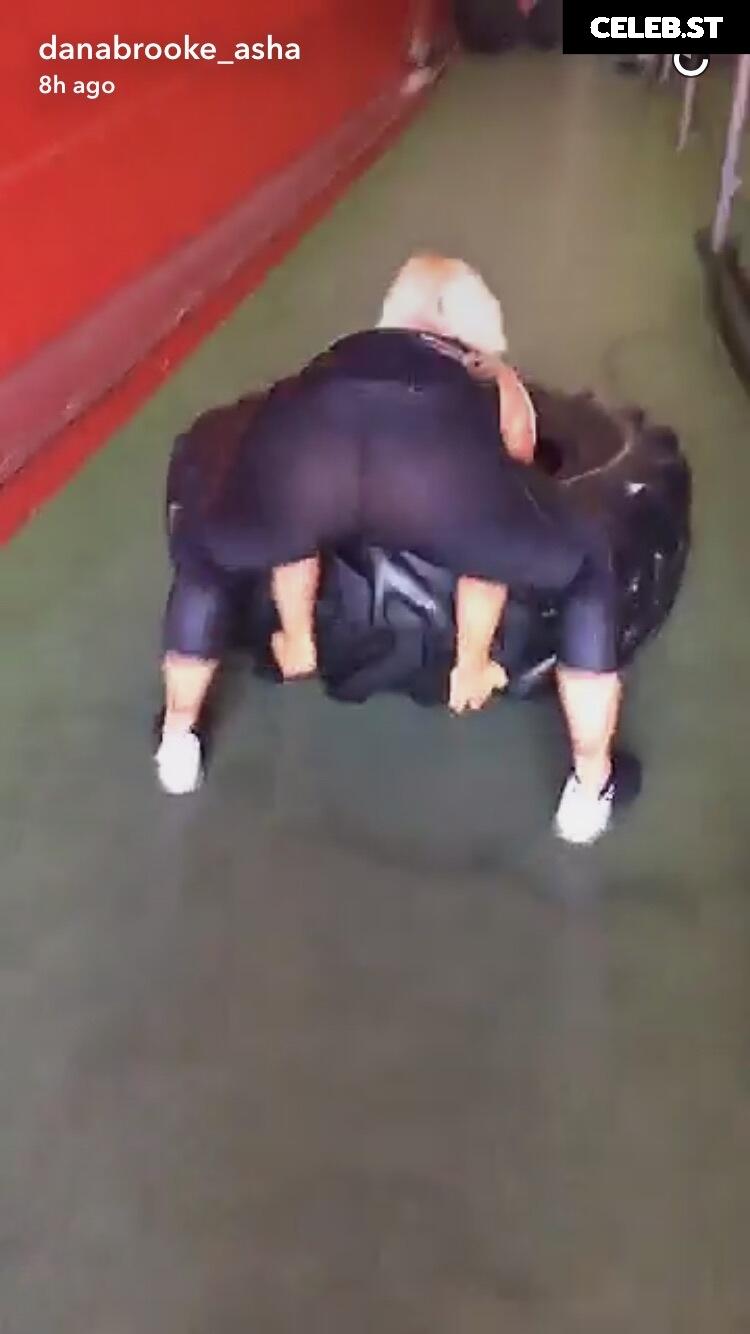 Ashley Sebera (formerly WWE Dana Brooke) Image 11894696