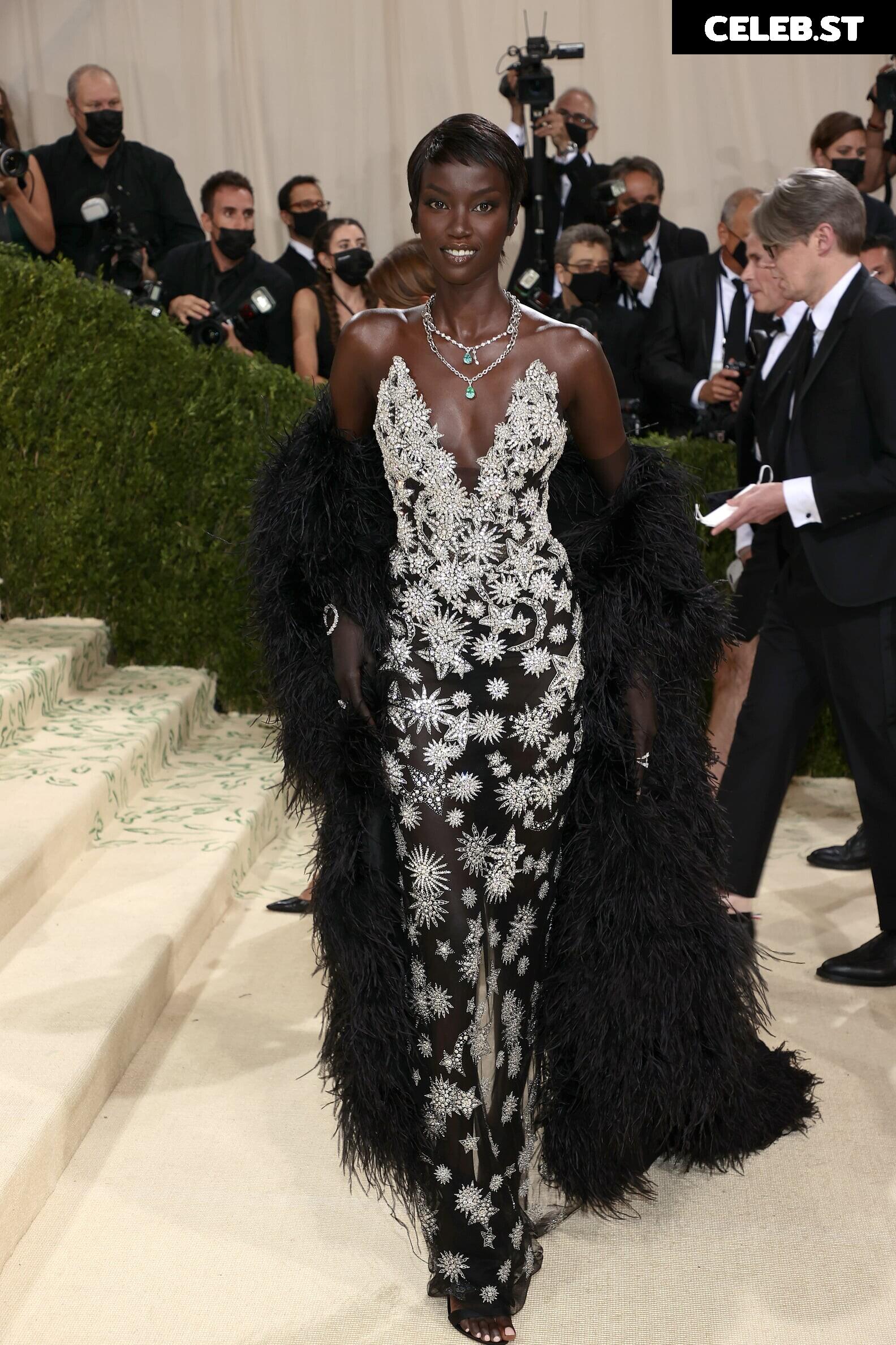 Anok Yai Image 11896450