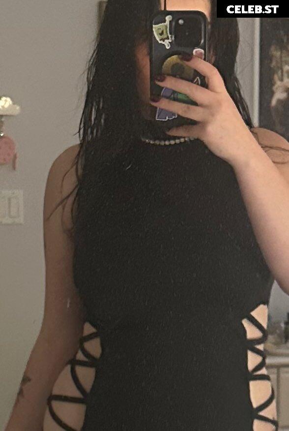 CottontailVA Image 11891829