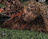 WWE Trish Stratus Image 11892683