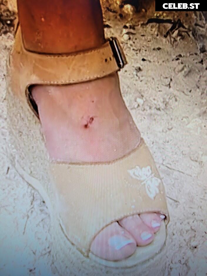 WWE Trish Stratus Image 11892656