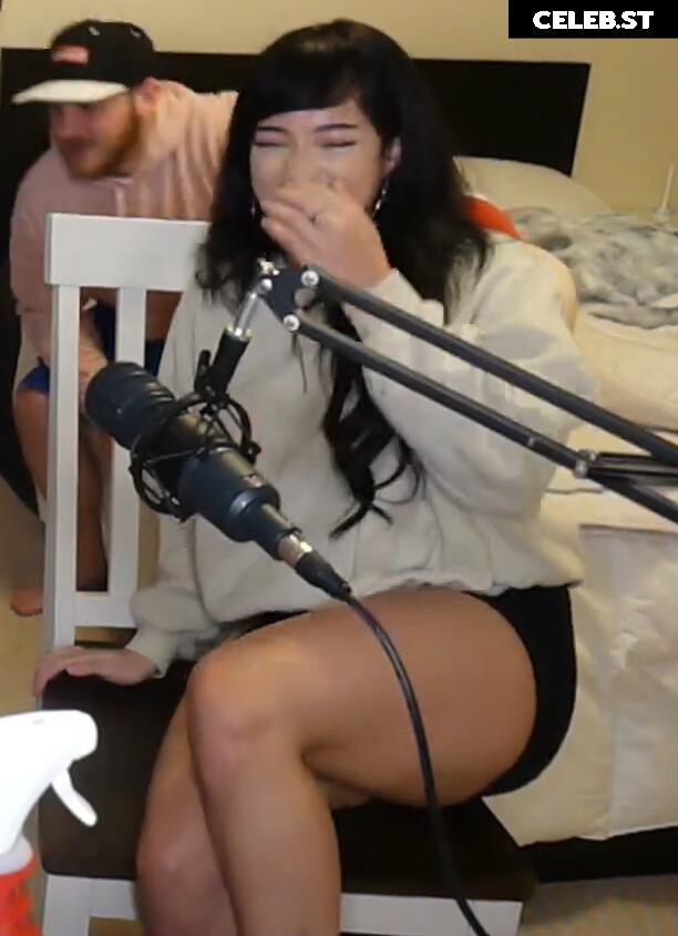 Cinnabrit Image 11888190