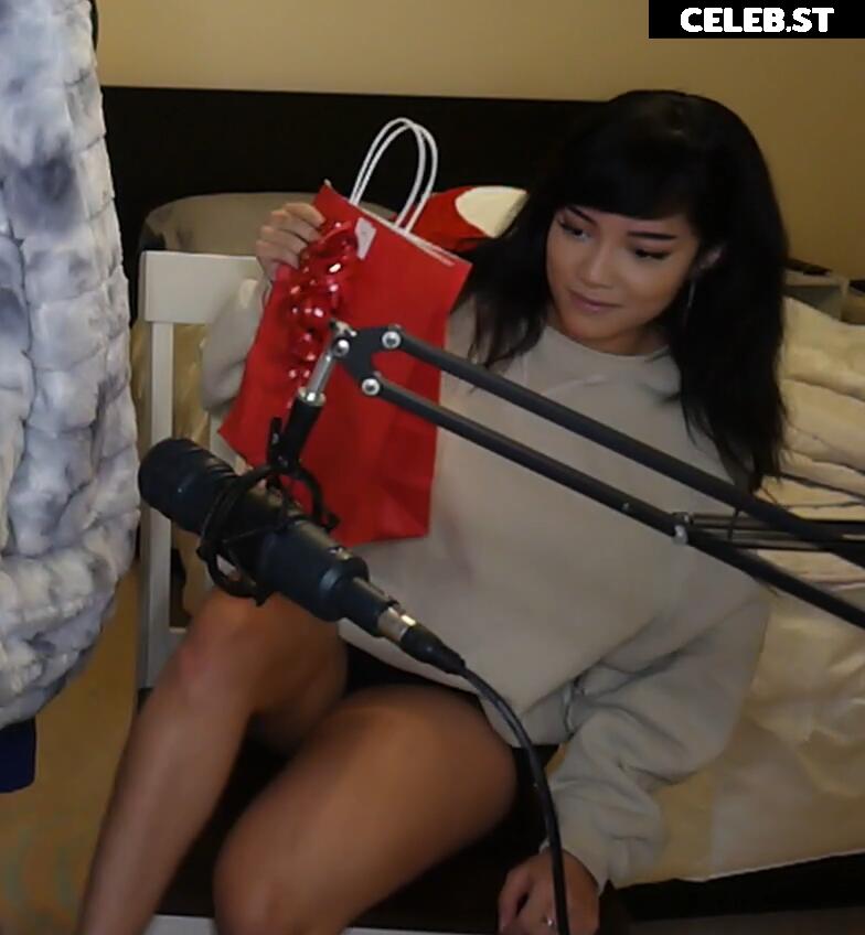 Cinnabrit Image 11888197