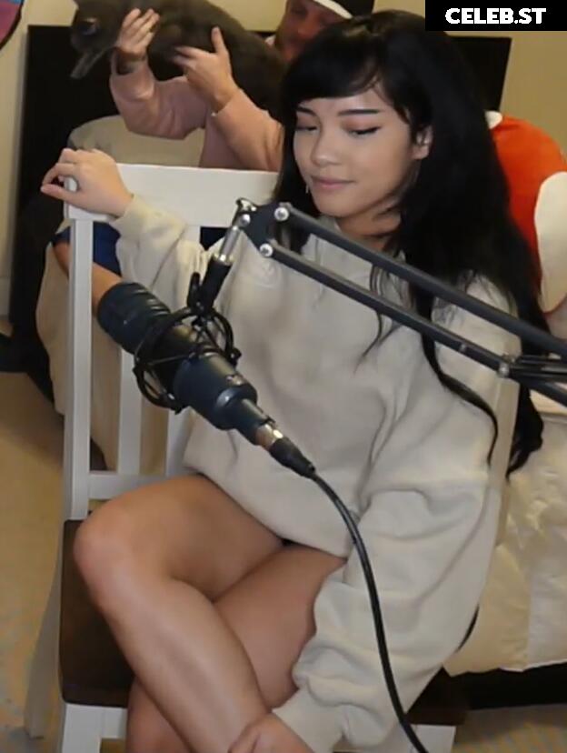 Cinnabrit Image 11888180