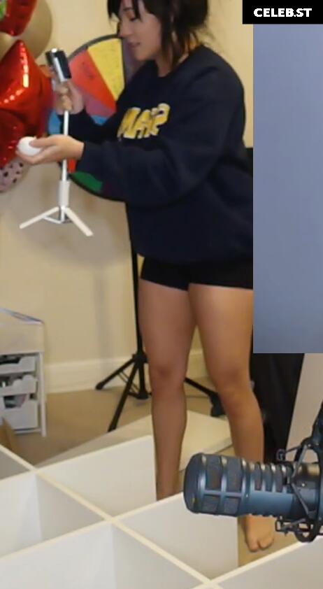 Cinnabrit Image 11888175