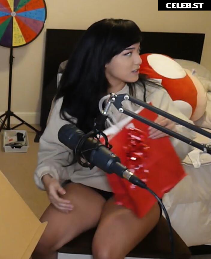 Cinnabrit Image 11888205