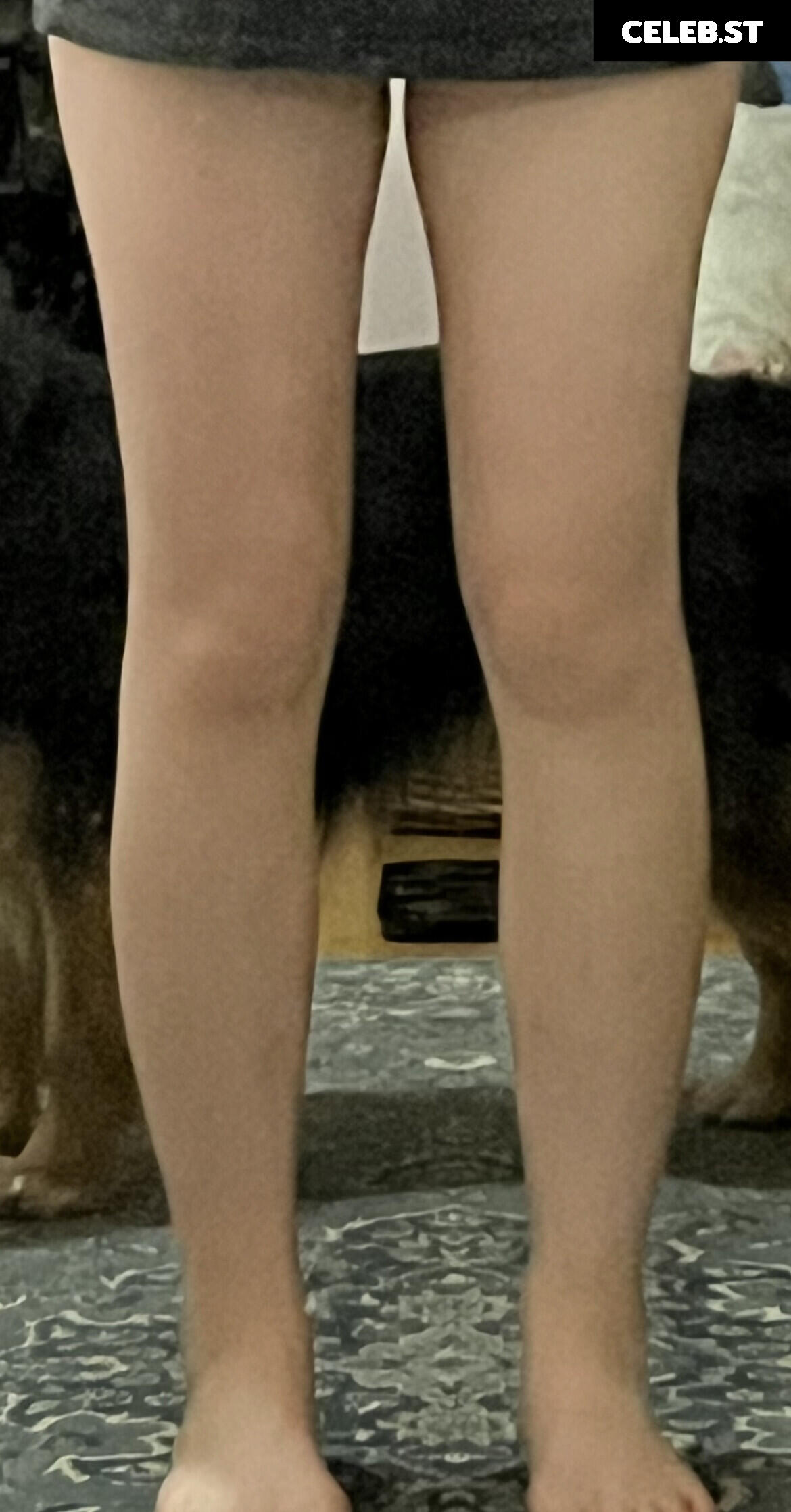 inislein Image 11887135