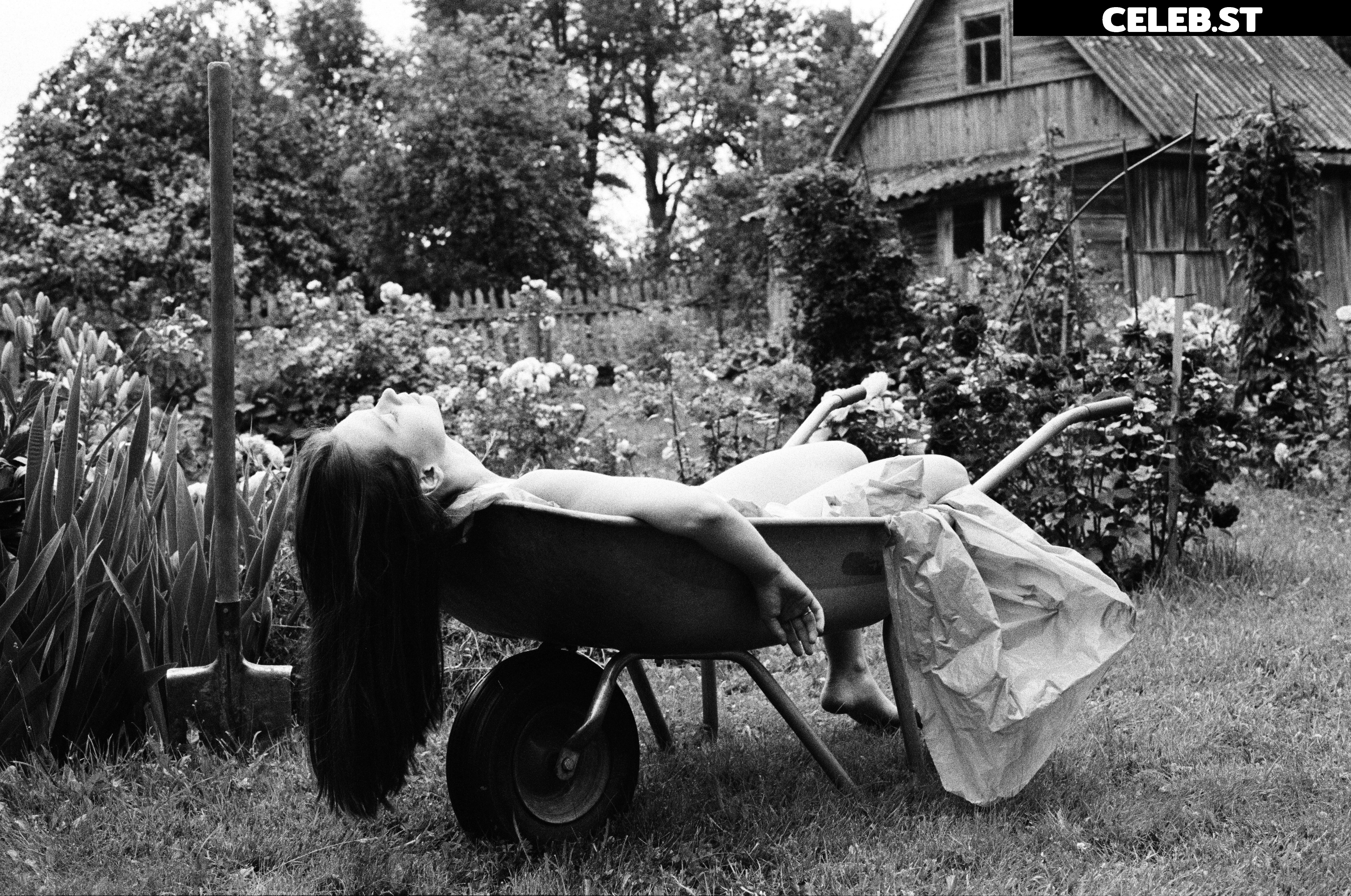 kodari_i Image 11887239