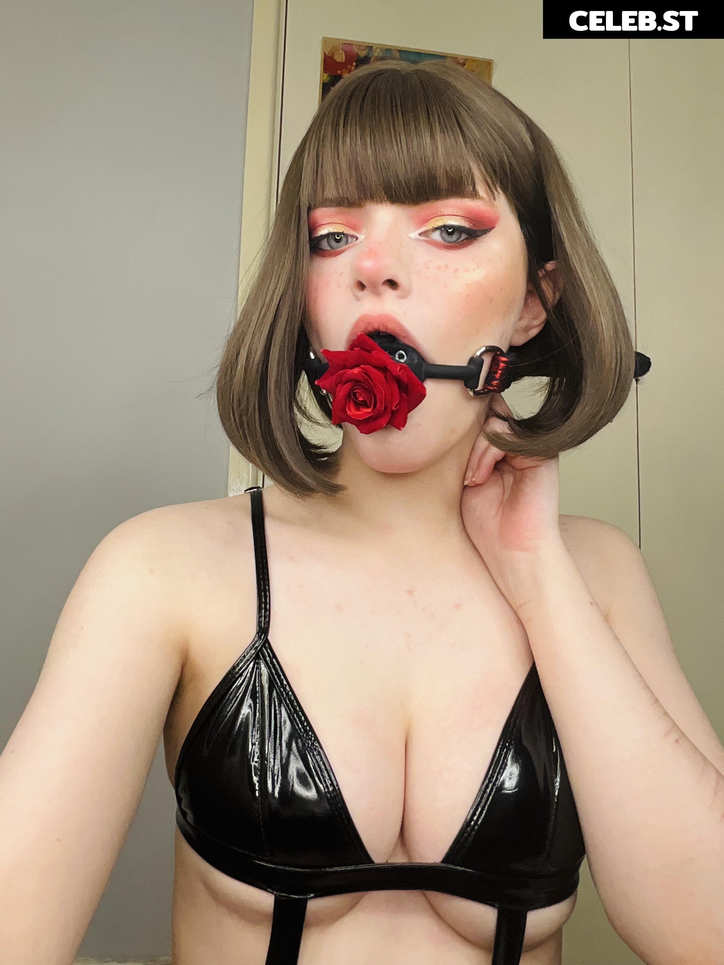 Misty Silver | thecutestkittycat | u/SnowCrazyFrenzy Image 11886198