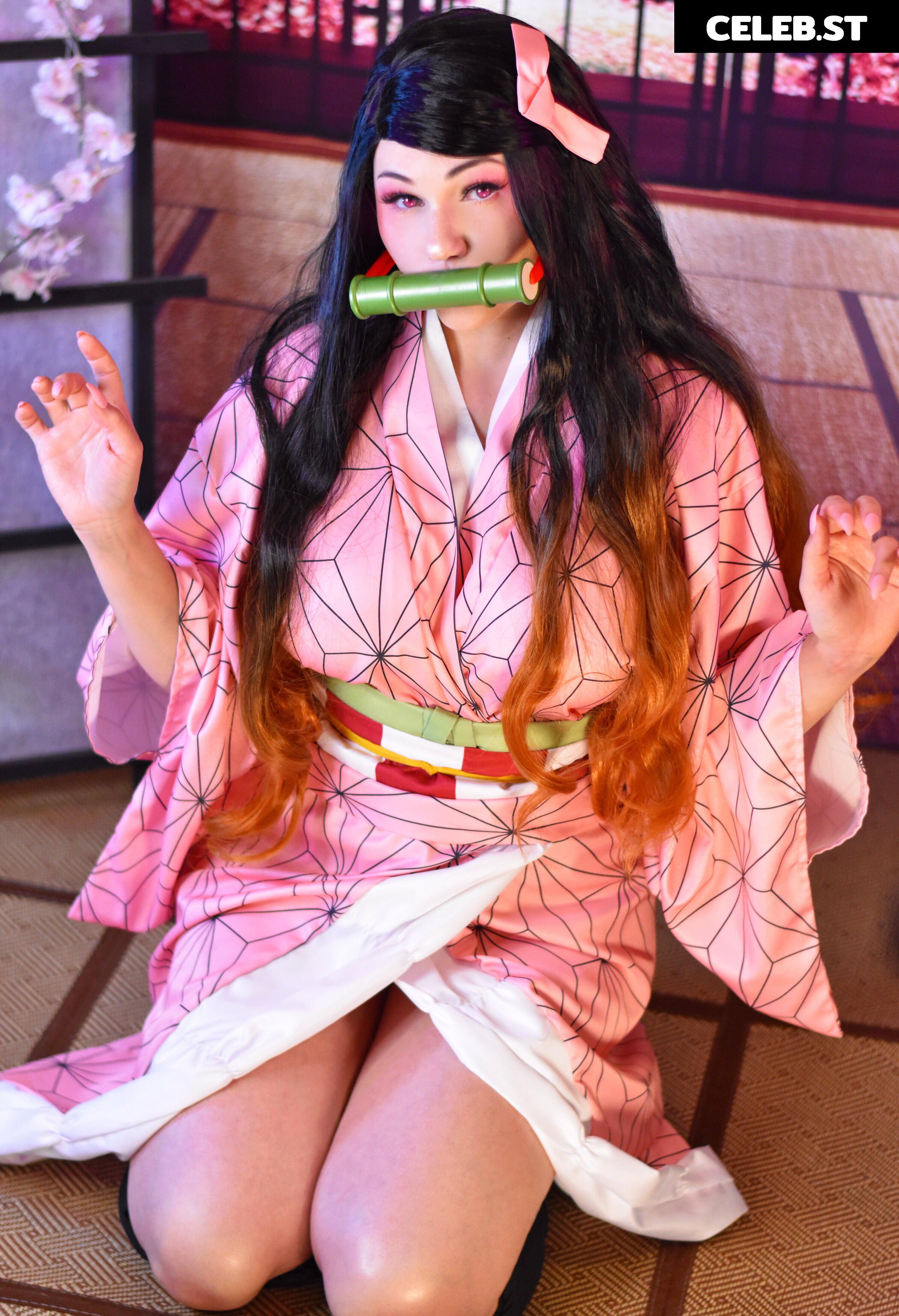 Kobaebeefboo Image 11727469