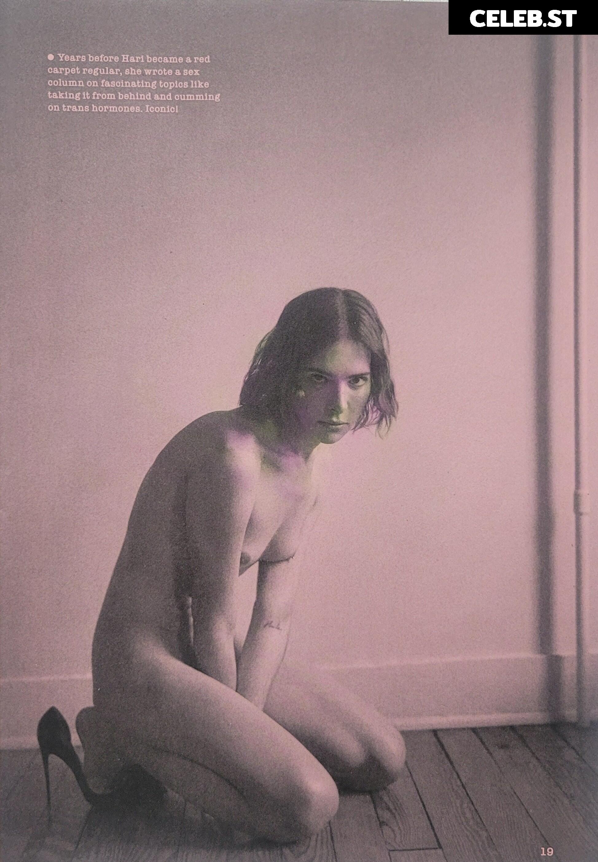 Hari Nef Image 11729470