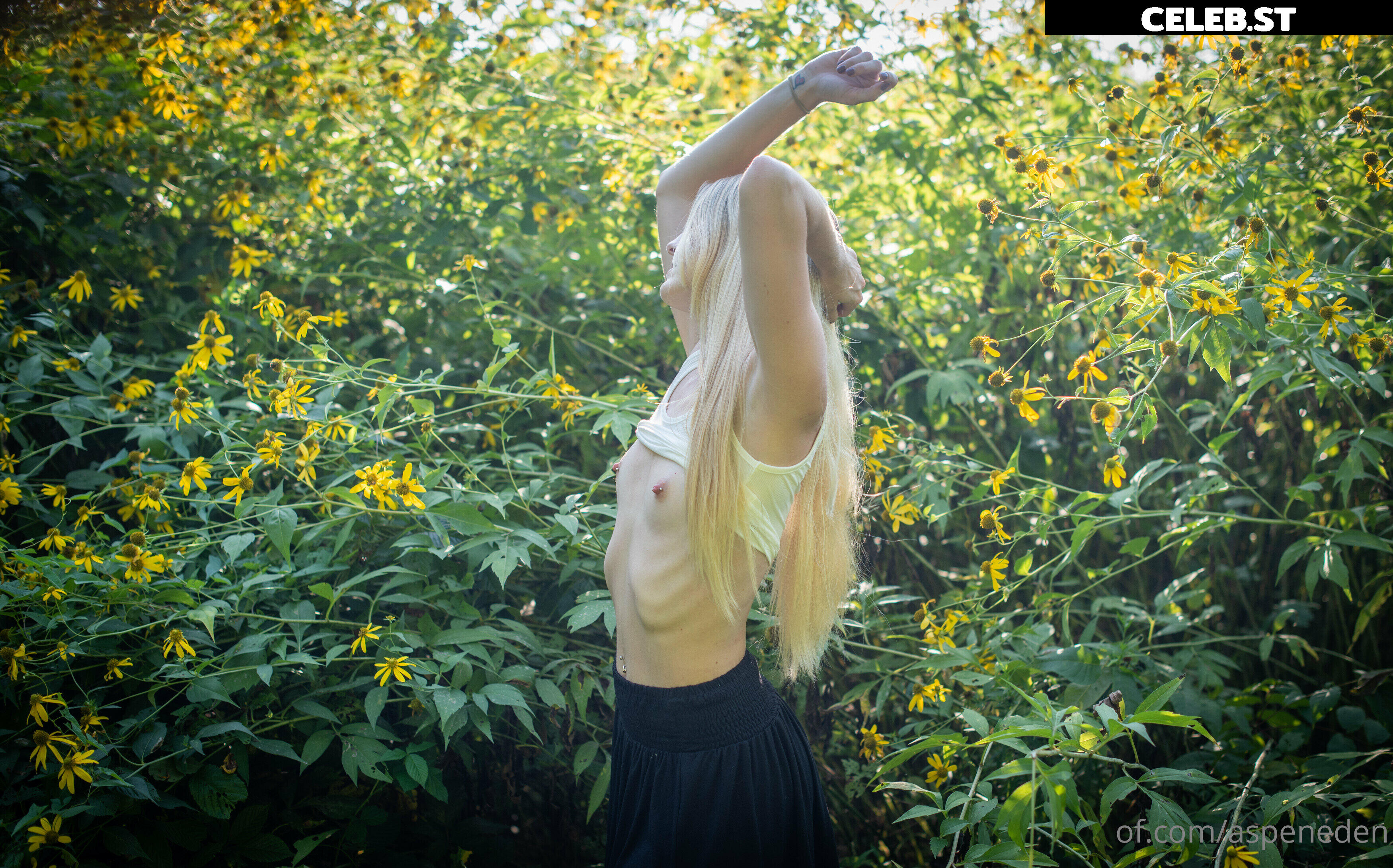 Aspeneden Image 116598