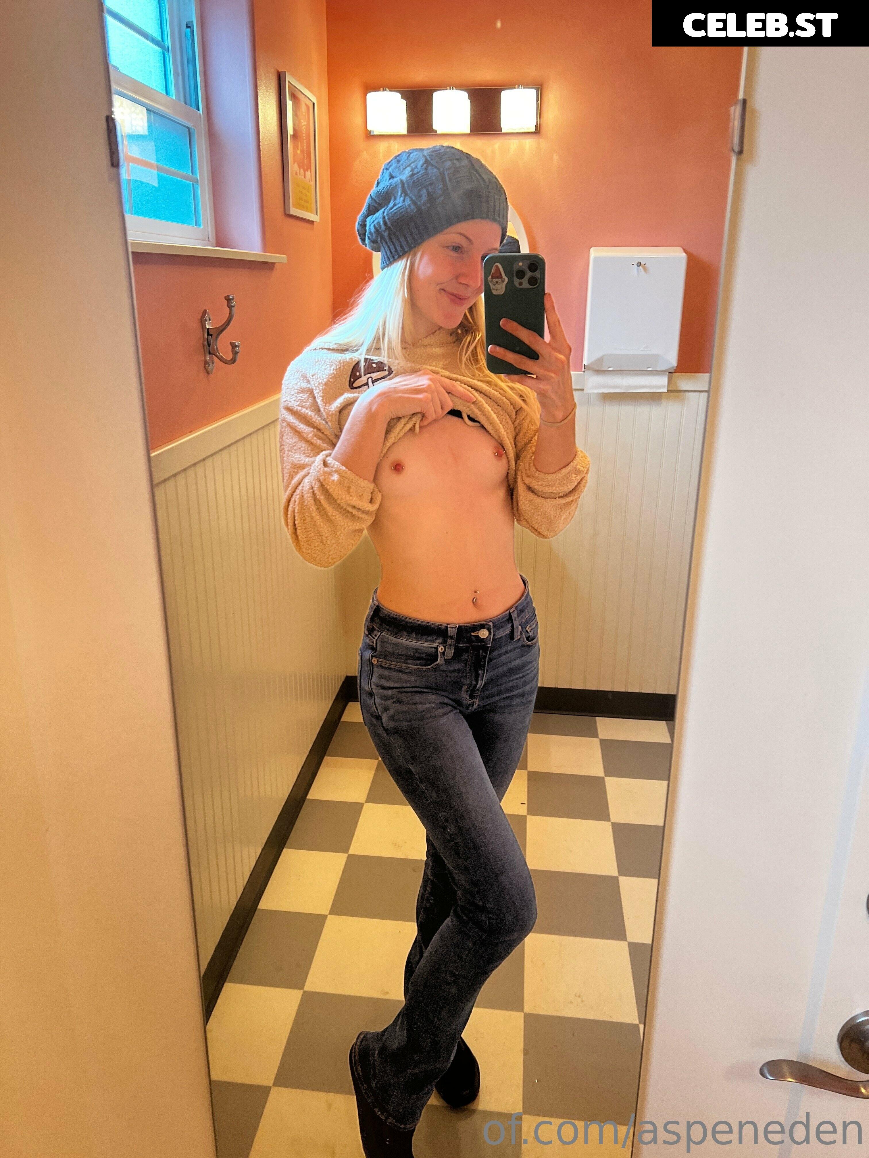 Aspeneden Image 116181