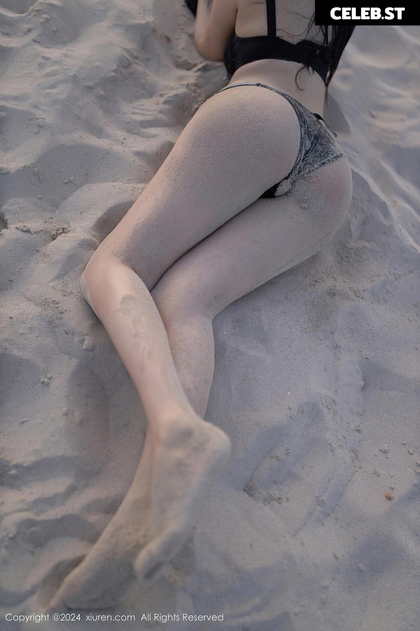 安然 anran Image 11604740