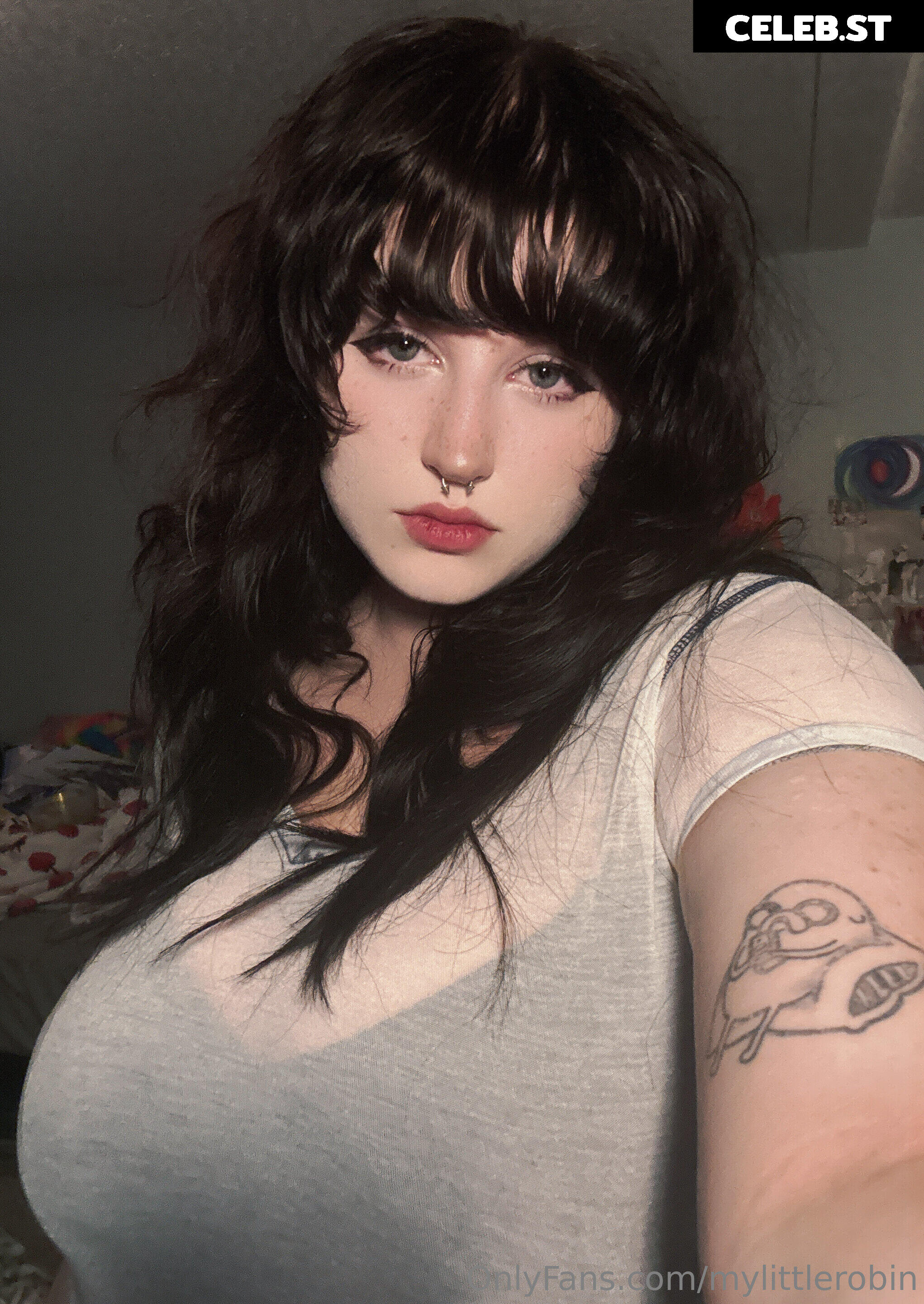 mylittlerobin | Robin Grey Image 11558591