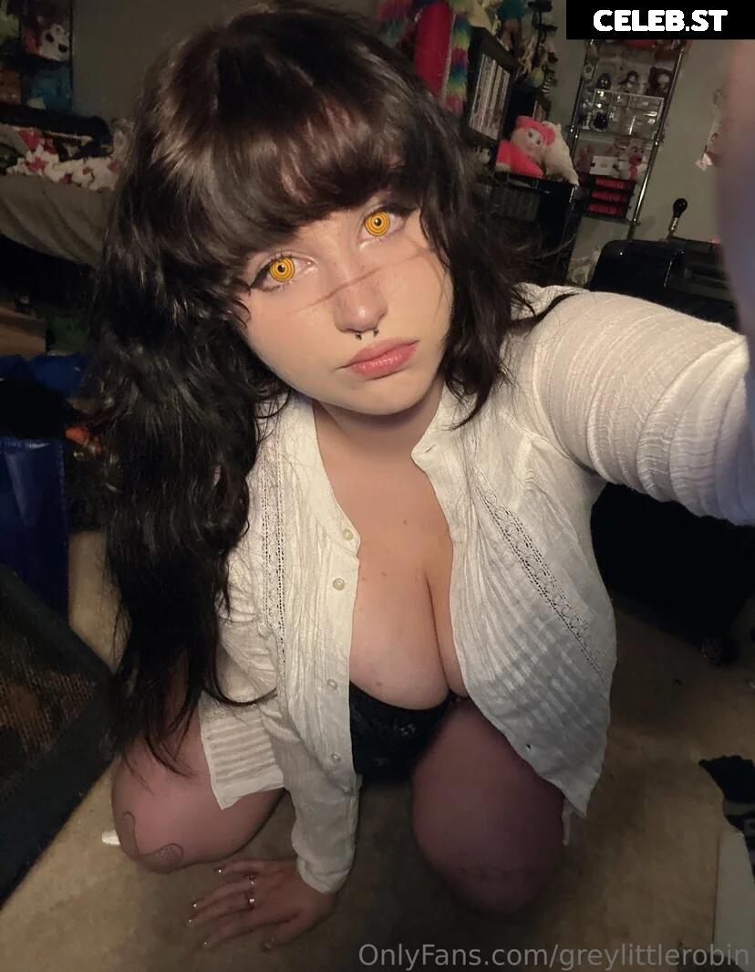 mylittlerobin | Robin Grey Image 11558588