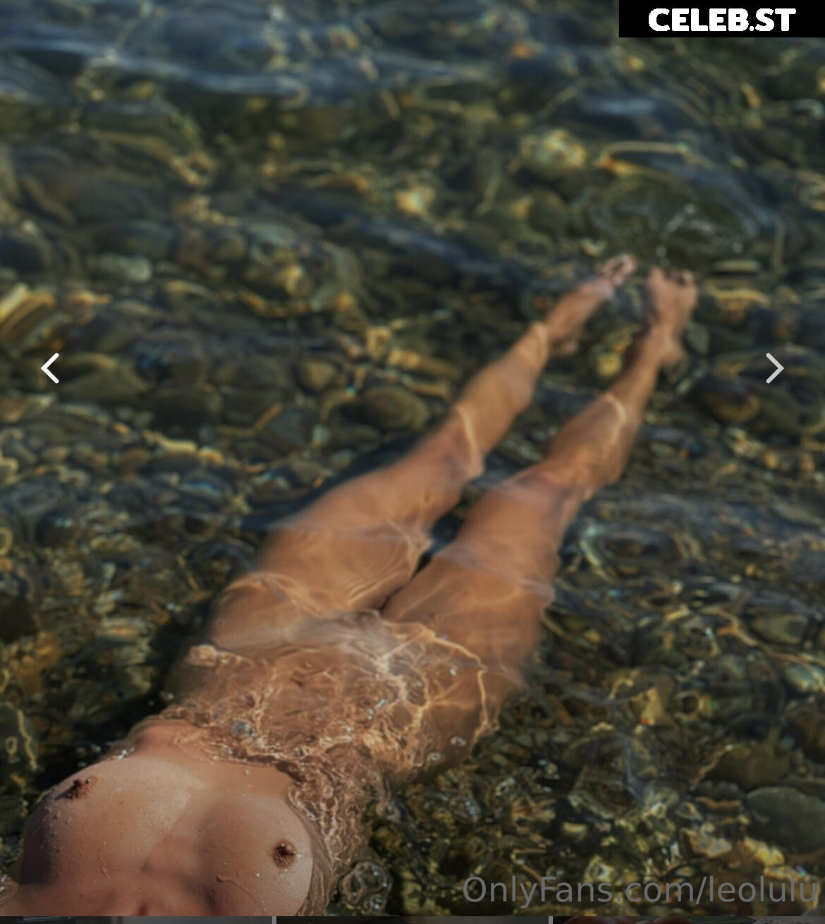 LeoLulu Image 1155622