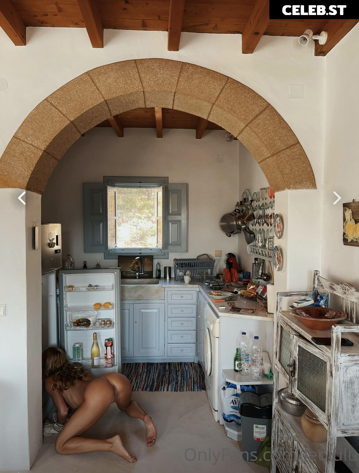 LeoLulu Image 1156071