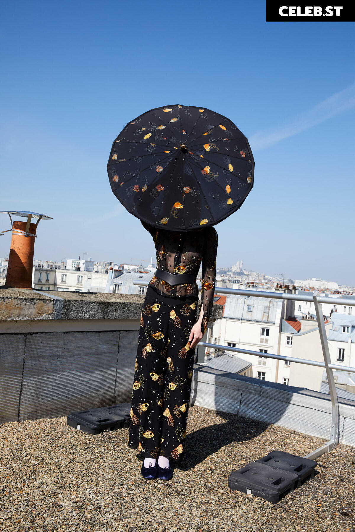 Eva Biechy Image 11538699