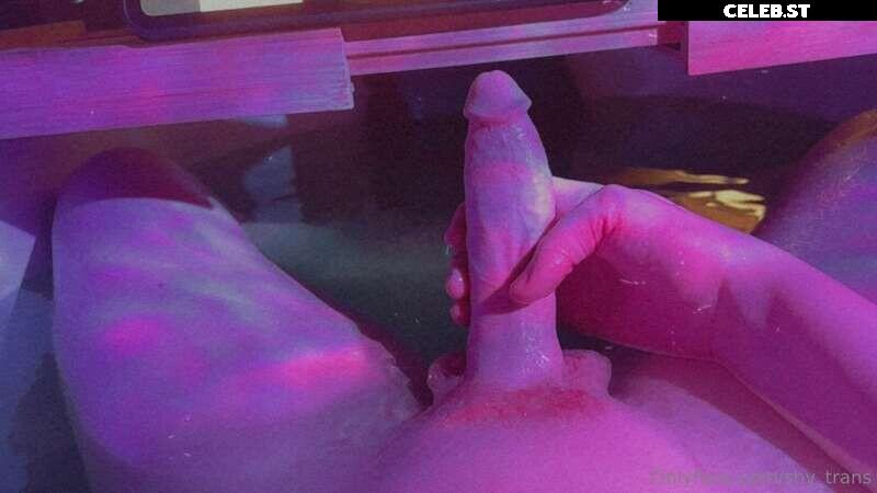 shy_trans Image 11502690