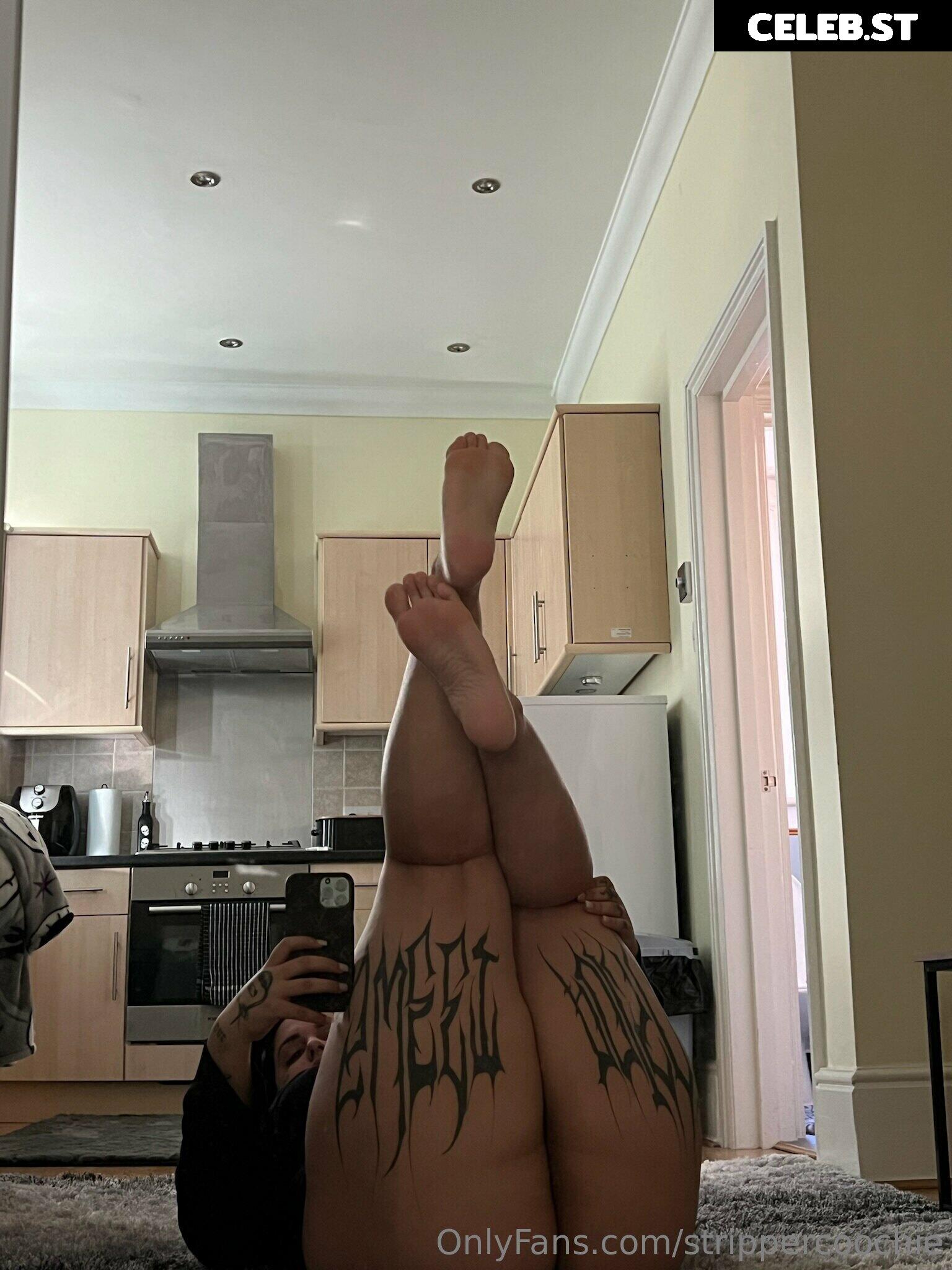 Mel Farahmand / strippercoochie Image 11591182