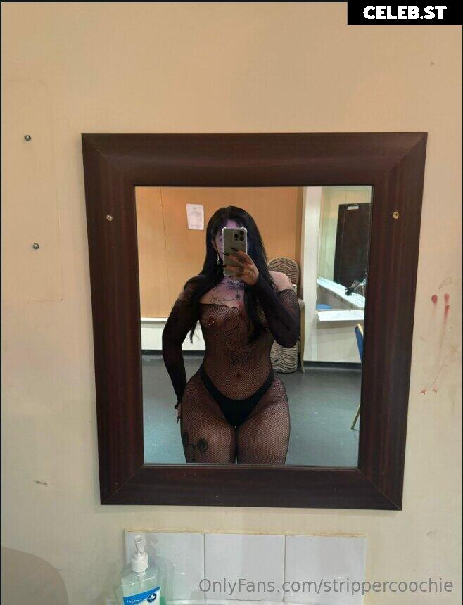Mel Farahmand / strippercoochie Image 11591122