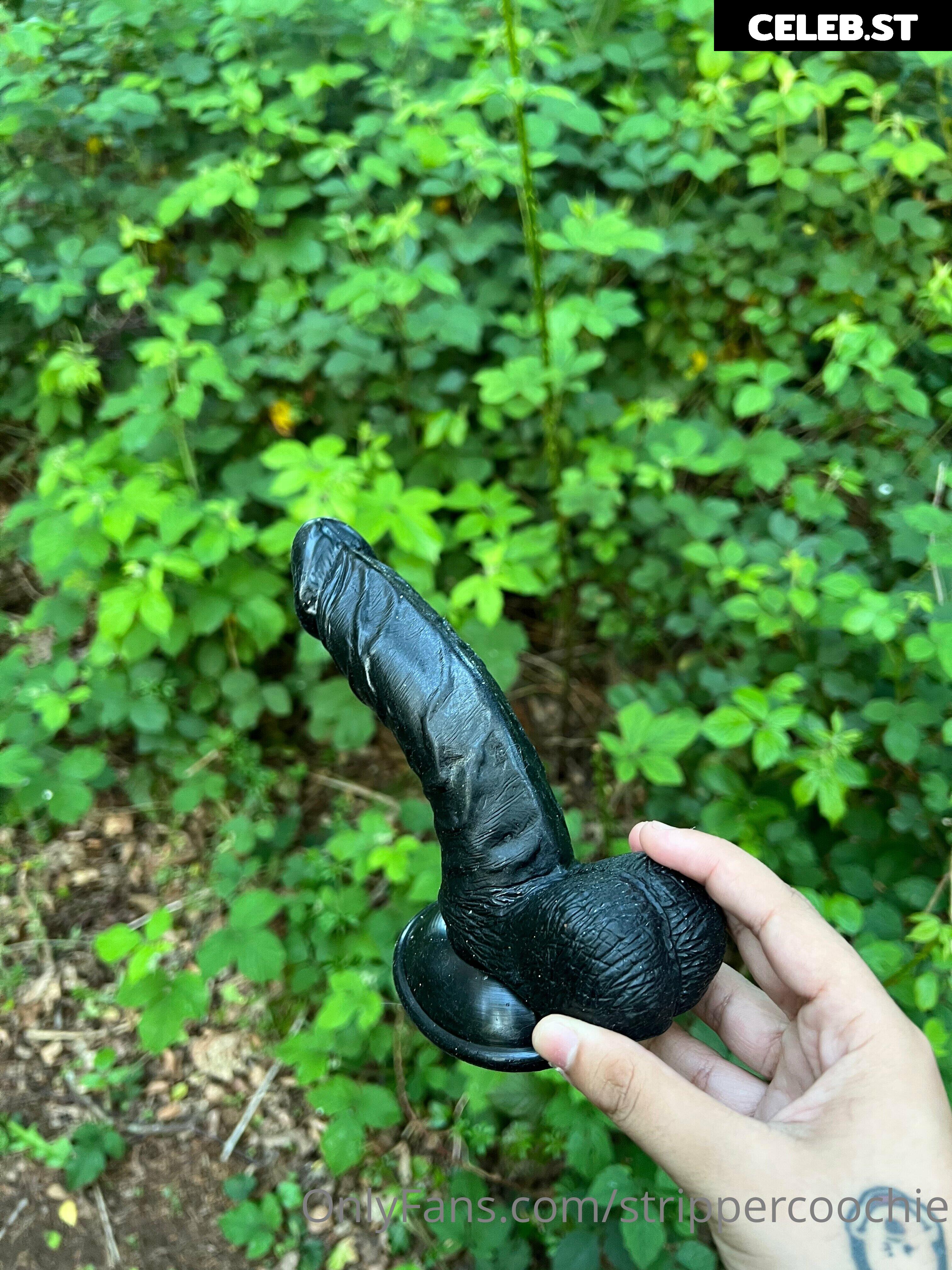 Mel Farahmand / strippercoochie Image 11591222