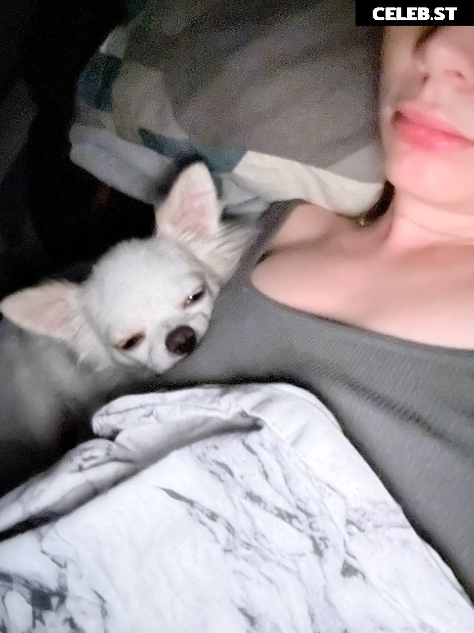 Fasoollka / fassoollka Image 11585537