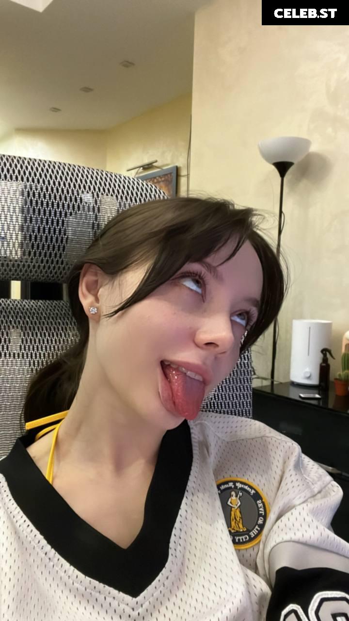 Fasoollka / fassoollka Image 11585545