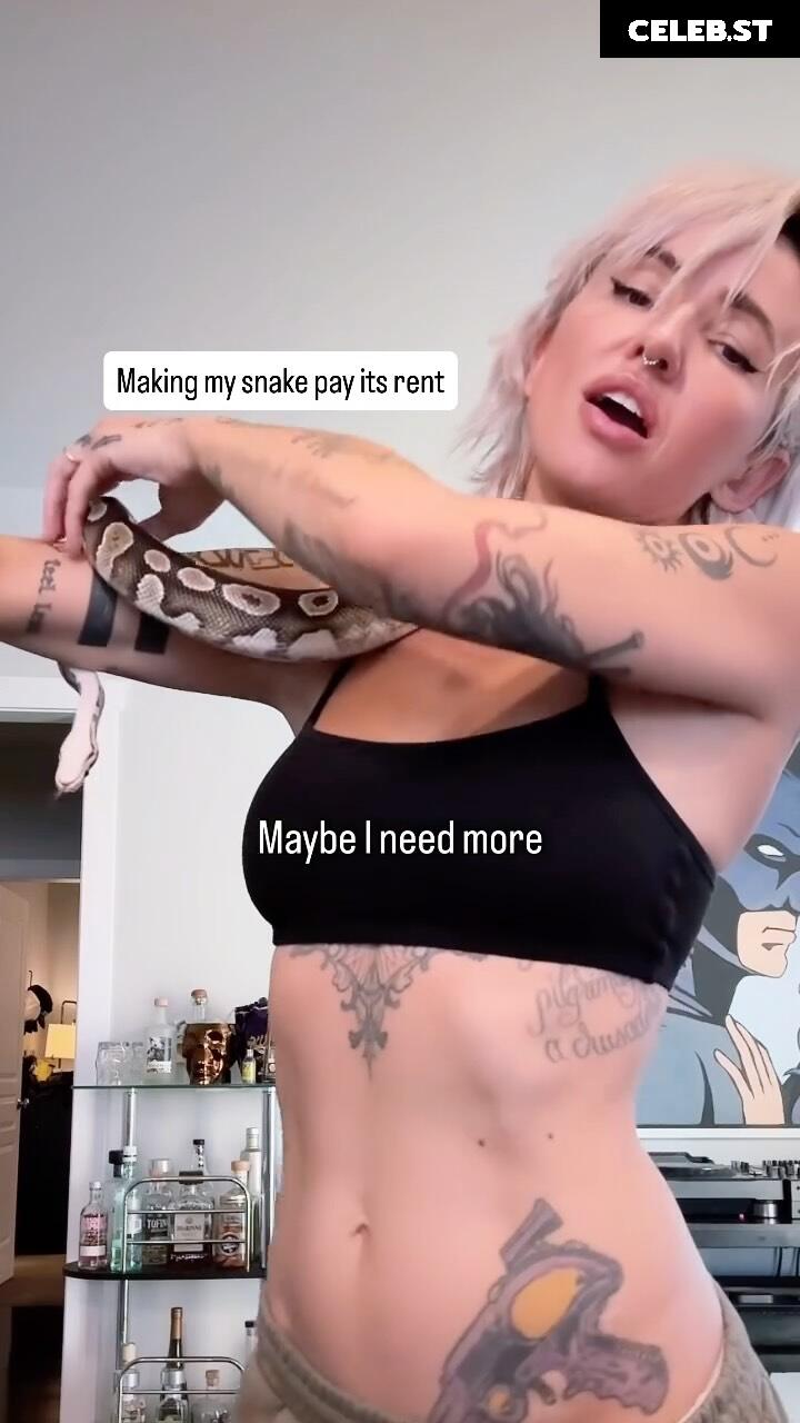 Lights Poxleitner Image 11444021