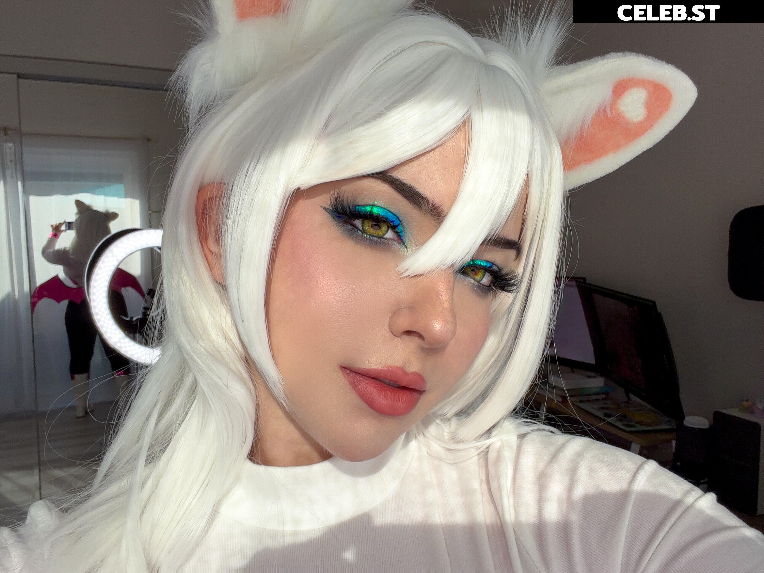 Serinide Image 11407144