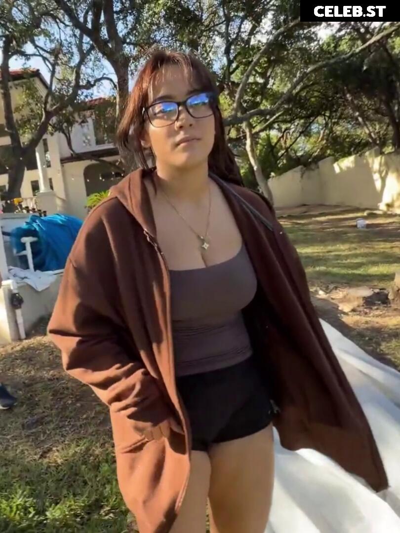 Cinnabrit Image 11493889