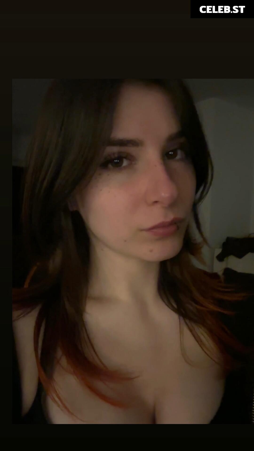 Zasterini | Zastela Image 11493093