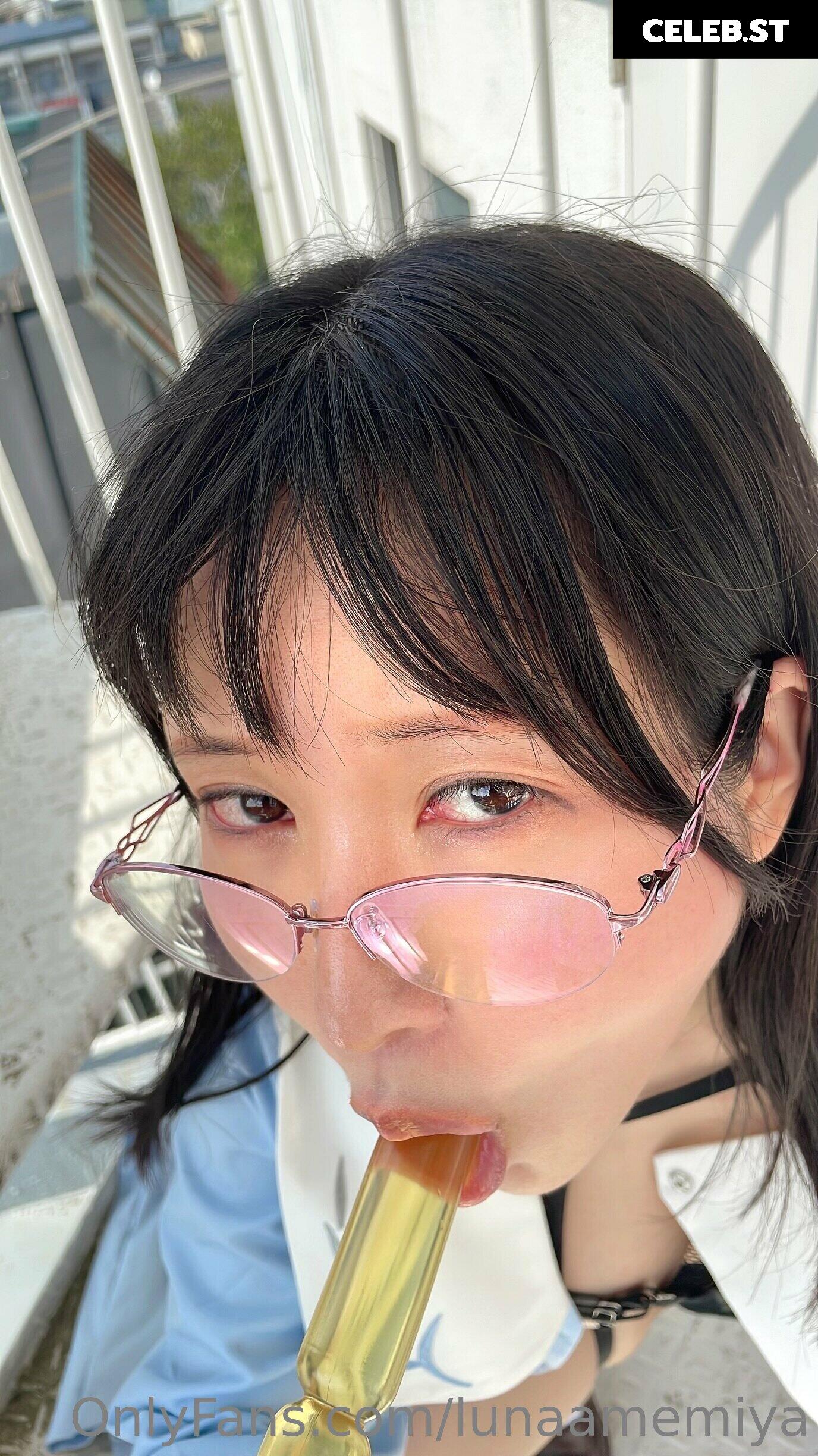 lunaamemiya Image 11373632