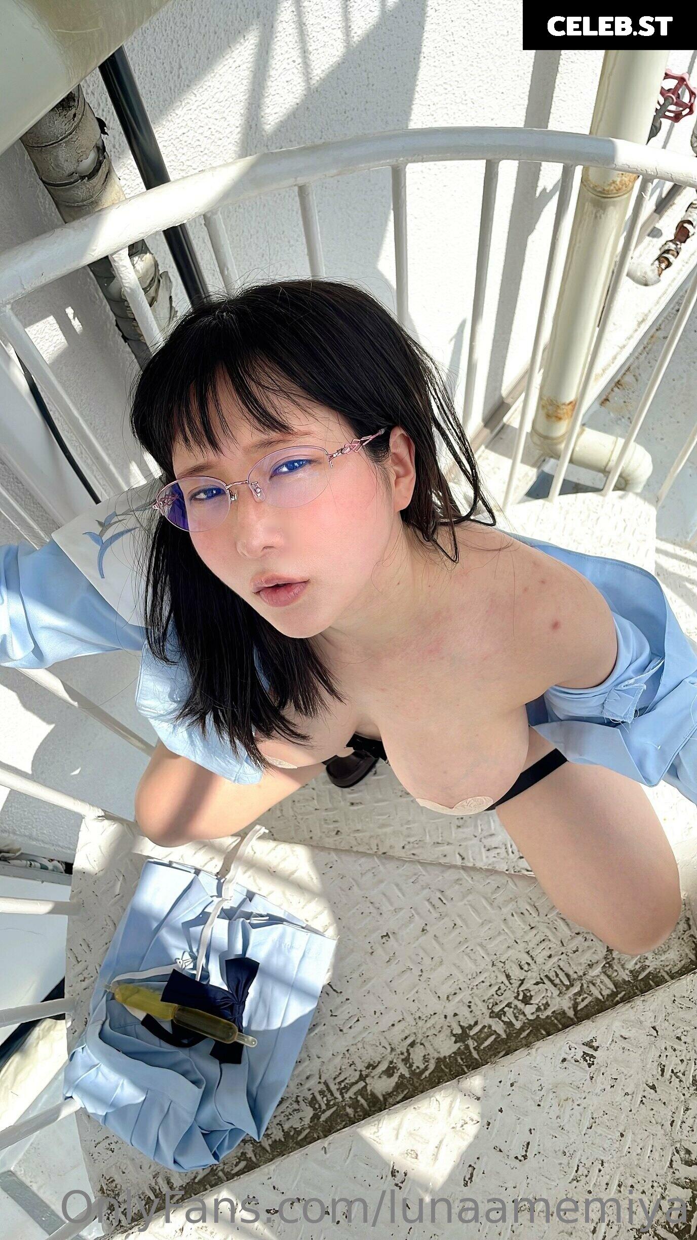 lunaamemiya Image 11373634