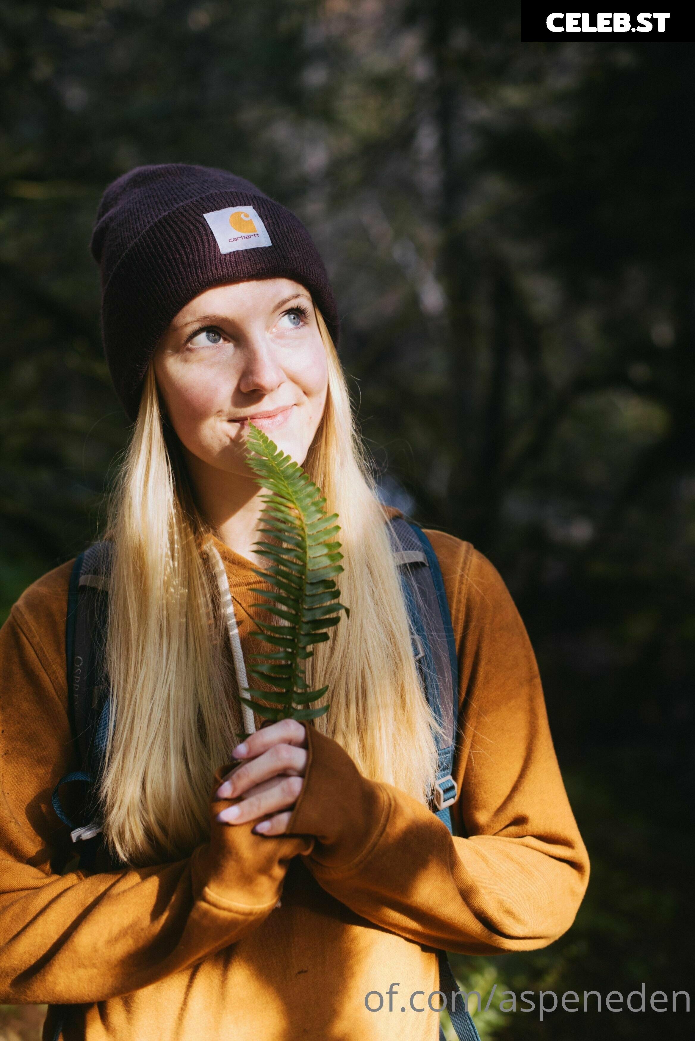 Aspeneden Image 113378