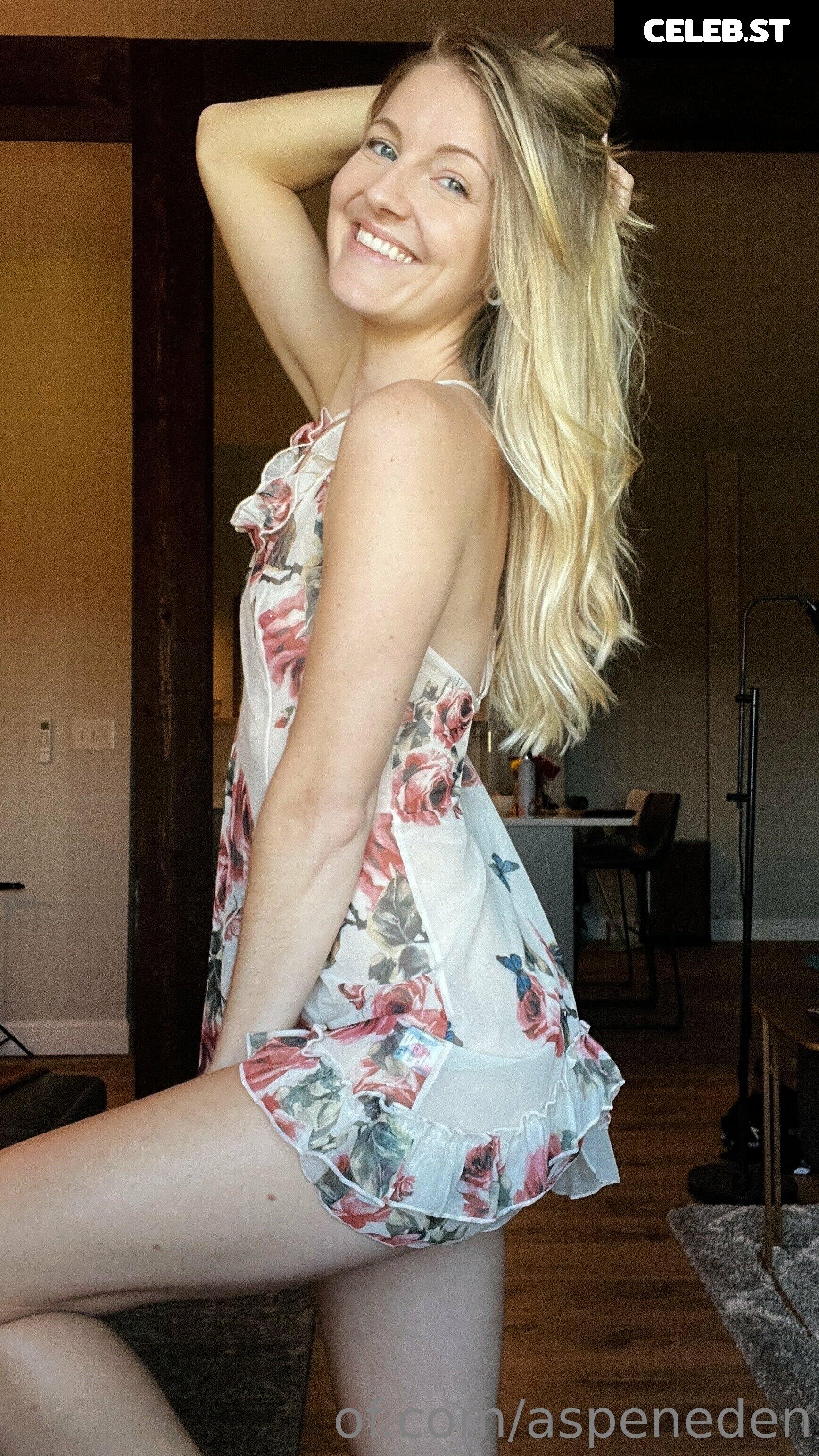 Aspeneden Image 111523