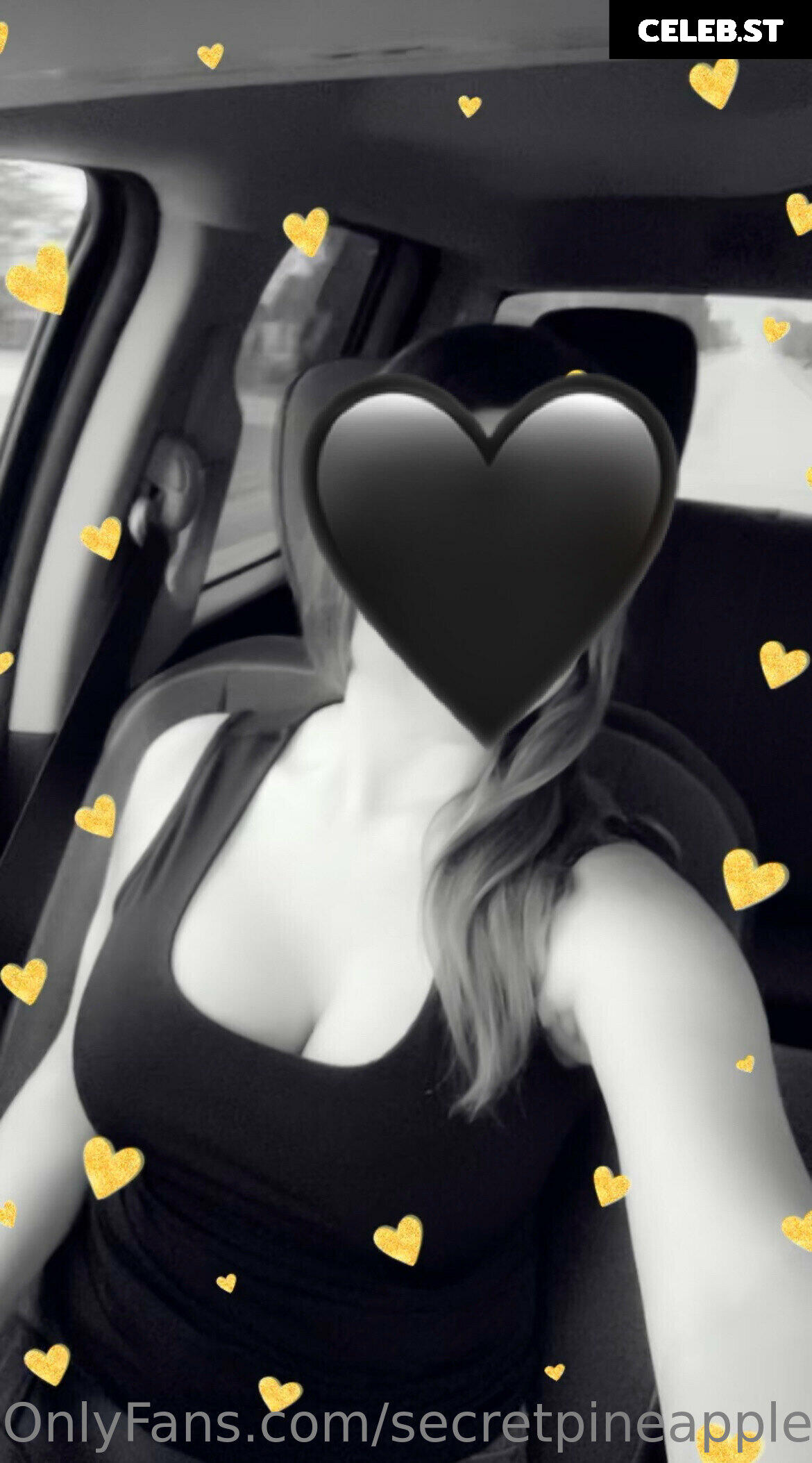 secretpineapplebabe Image 12944103