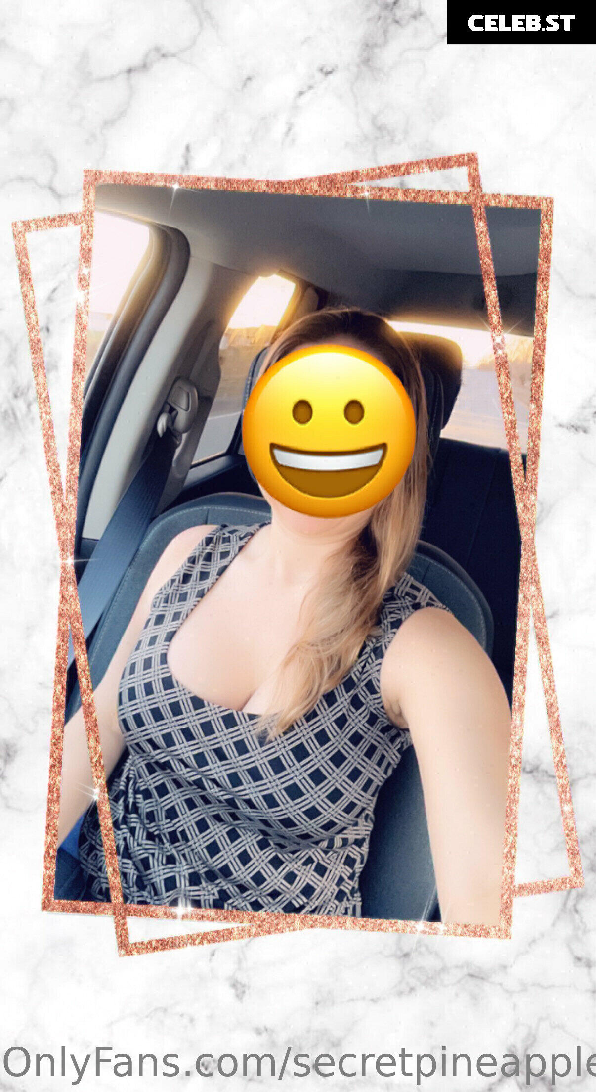 secretpineapplebabe Image 12944012