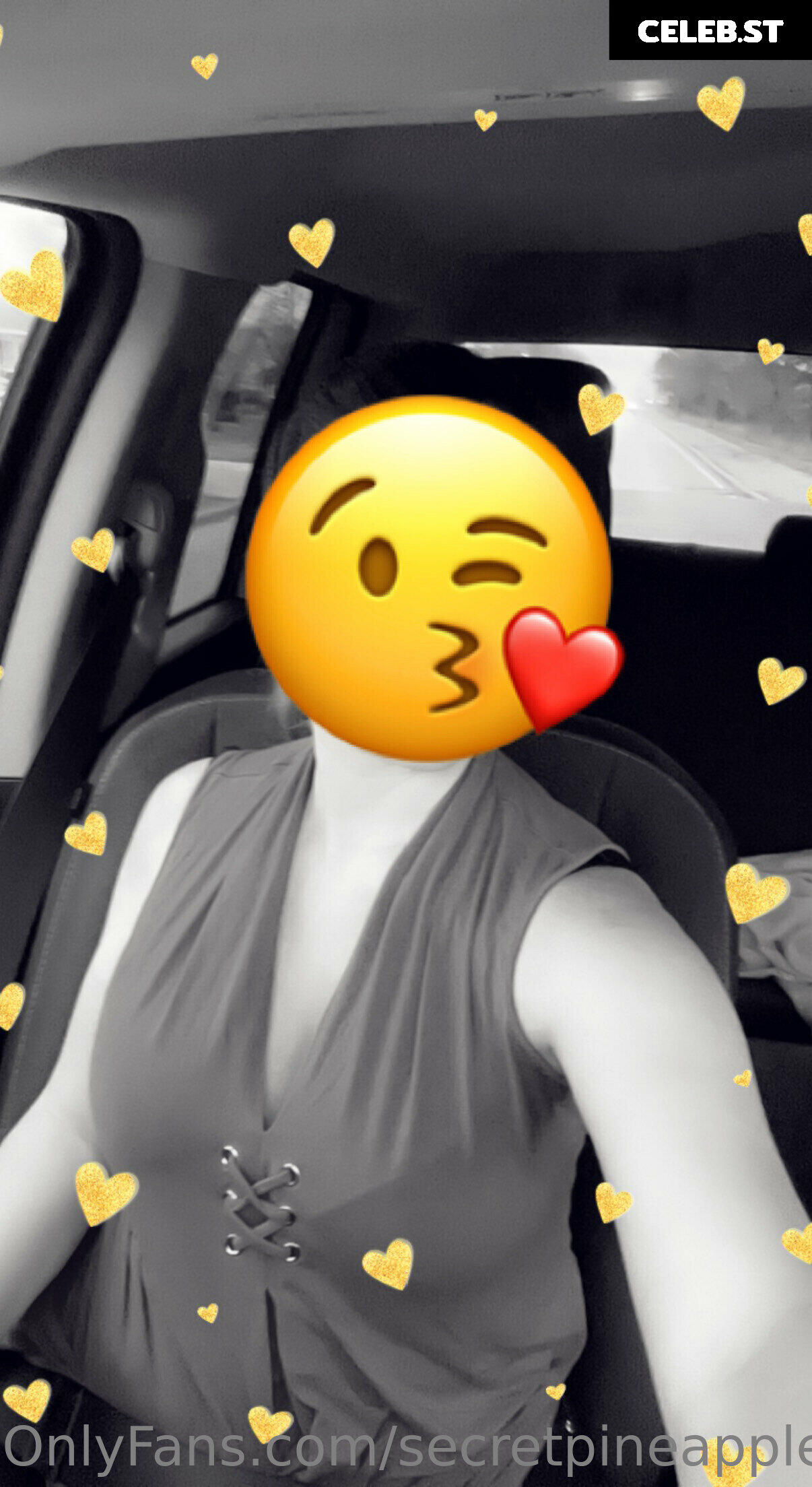 secretpineapplebabe Image 12944047